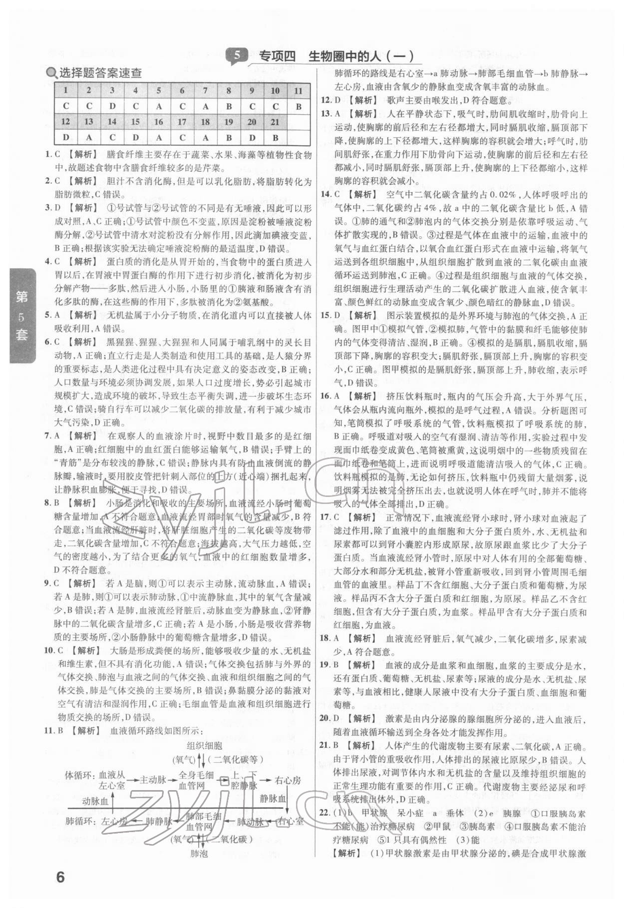 2022年金考卷河南中考45套匯編生物 參考答案第6頁(yè)