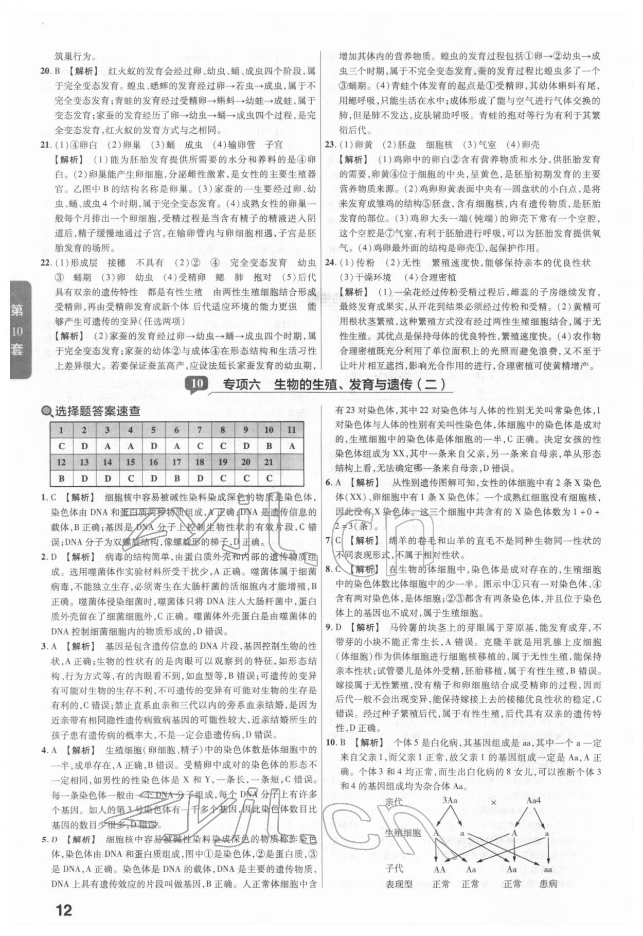 2022年金考卷河南中考45套匯編生物 參考答案第12頁