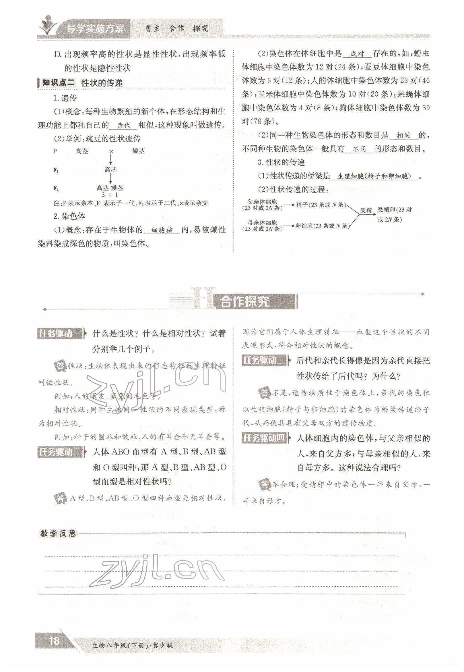 2022年三段六步導(dǎo)學(xué)案八年級生物下冊冀少版 參考答案第18頁