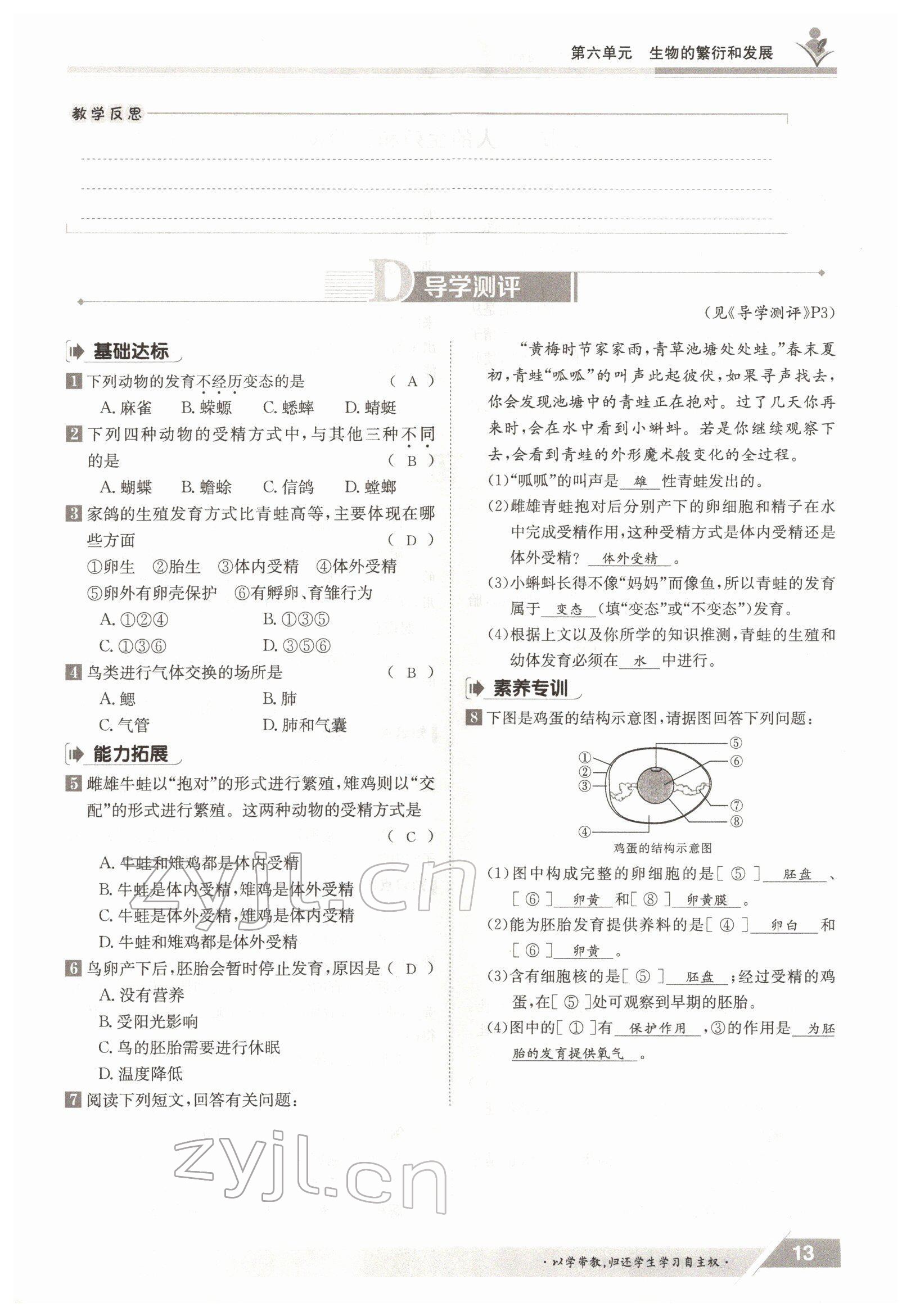 2022年三段六步導學案八年級生物下冊冀少版 參考答案第13頁