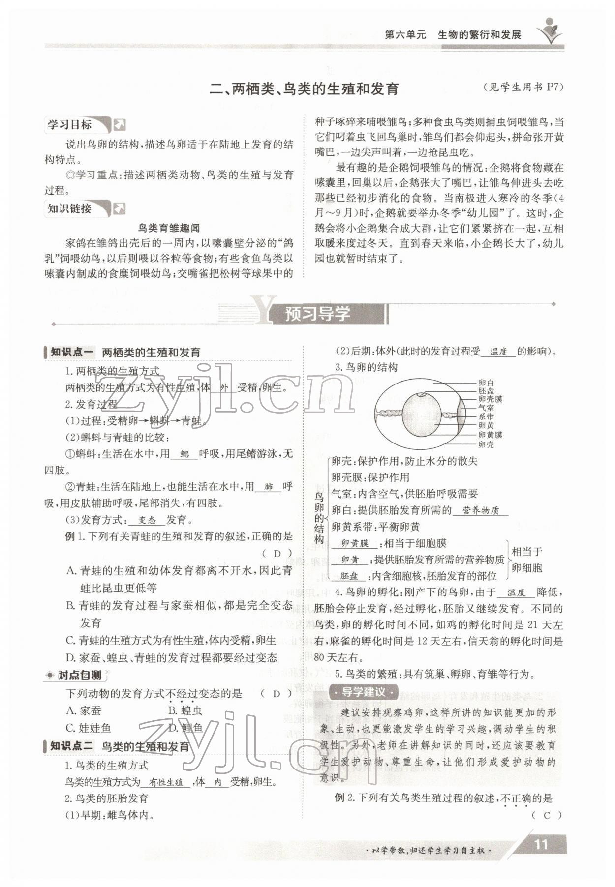 2022年三段六步導(dǎo)學(xué)案八年級生物下冊冀少版 參考答案第11頁