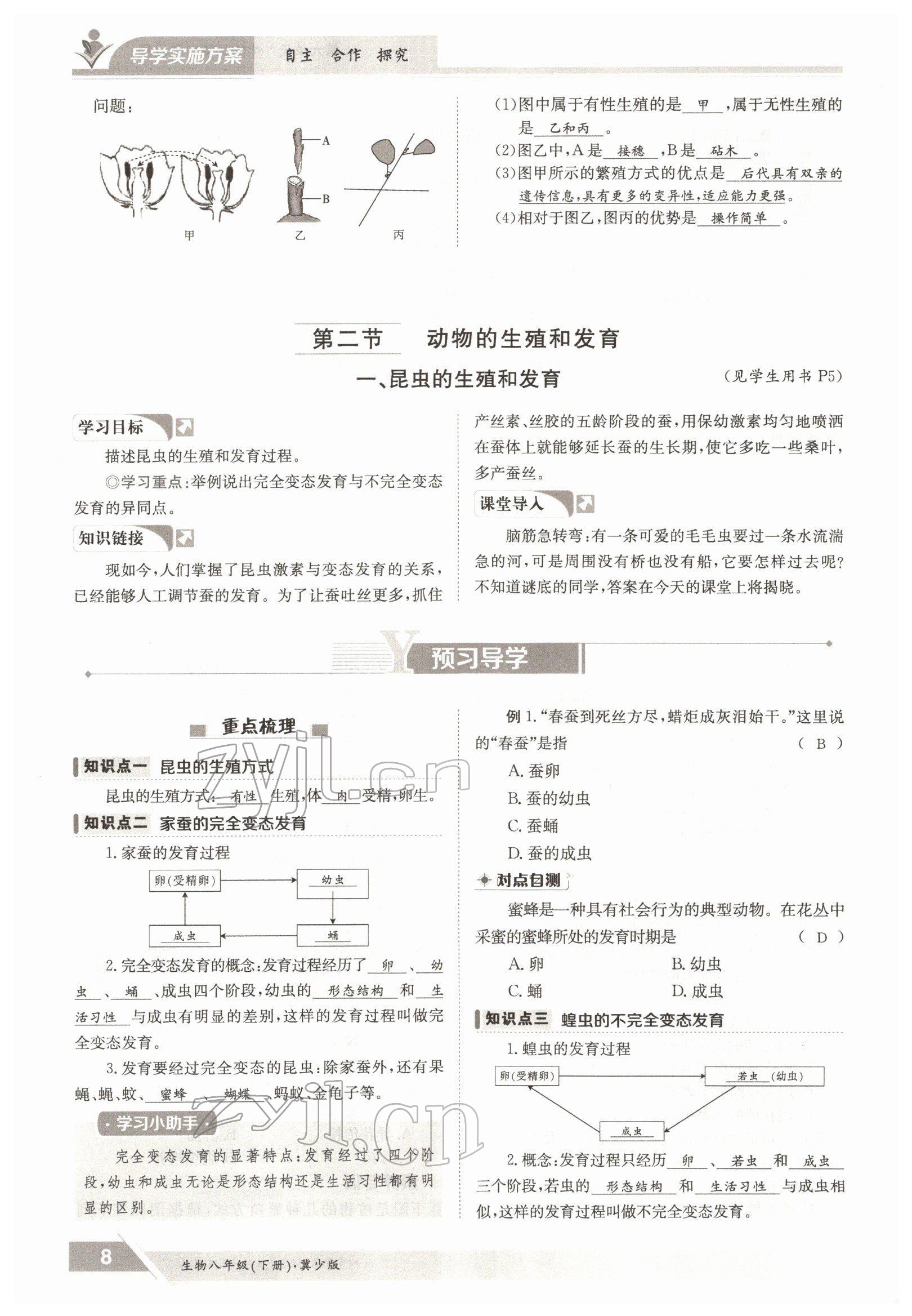 2022年三段六步導(dǎo)學(xué)測評八年級生物下冊冀少版&nbsp;參考答案第8頁