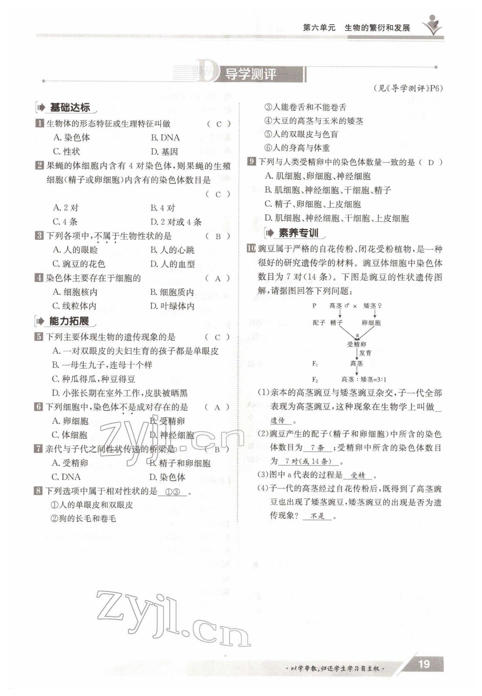 2022年三段六步導(dǎo)學(xué)測評八年級生物下冊冀少版&nbsp;參考答案第19頁