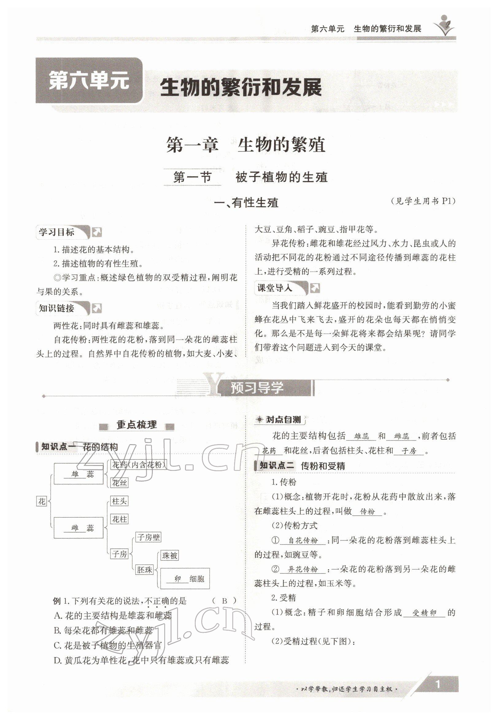2022年三段六步導學測評八年級生物下冊冀少版 參考答案第1頁