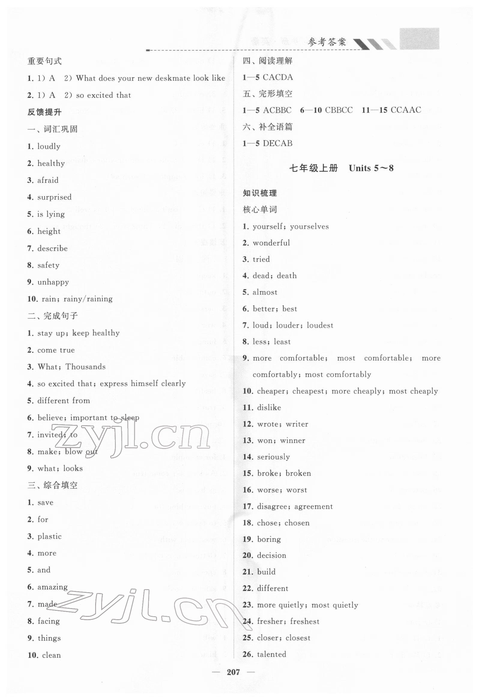 2022年初中總復(fù)習(xí)手冊山東教育出版社英語 第7頁