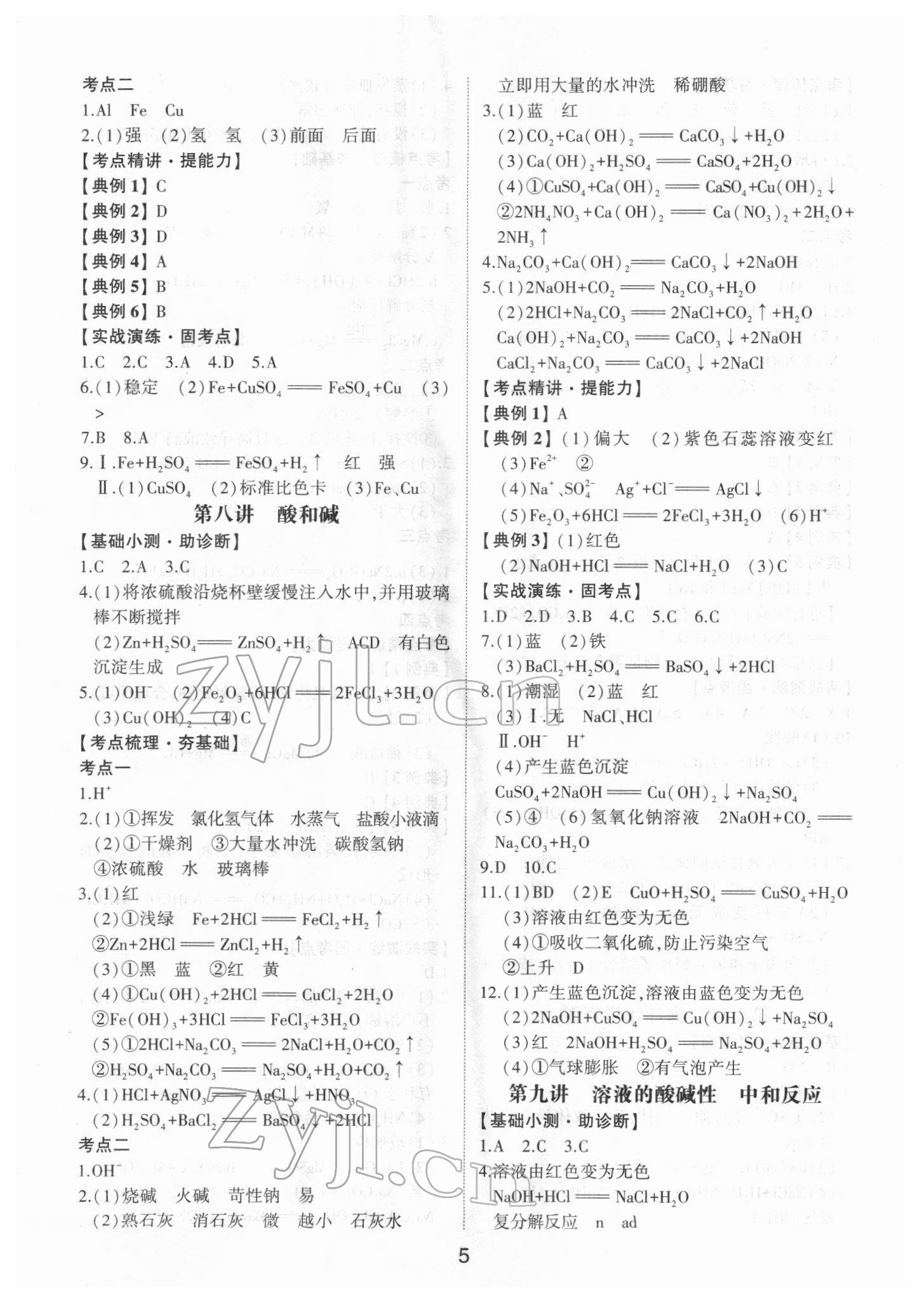 2022年初中總復(fù)習(xí)手冊山東科學(xué)技術(shù)出版社化學(xué) 第5頁