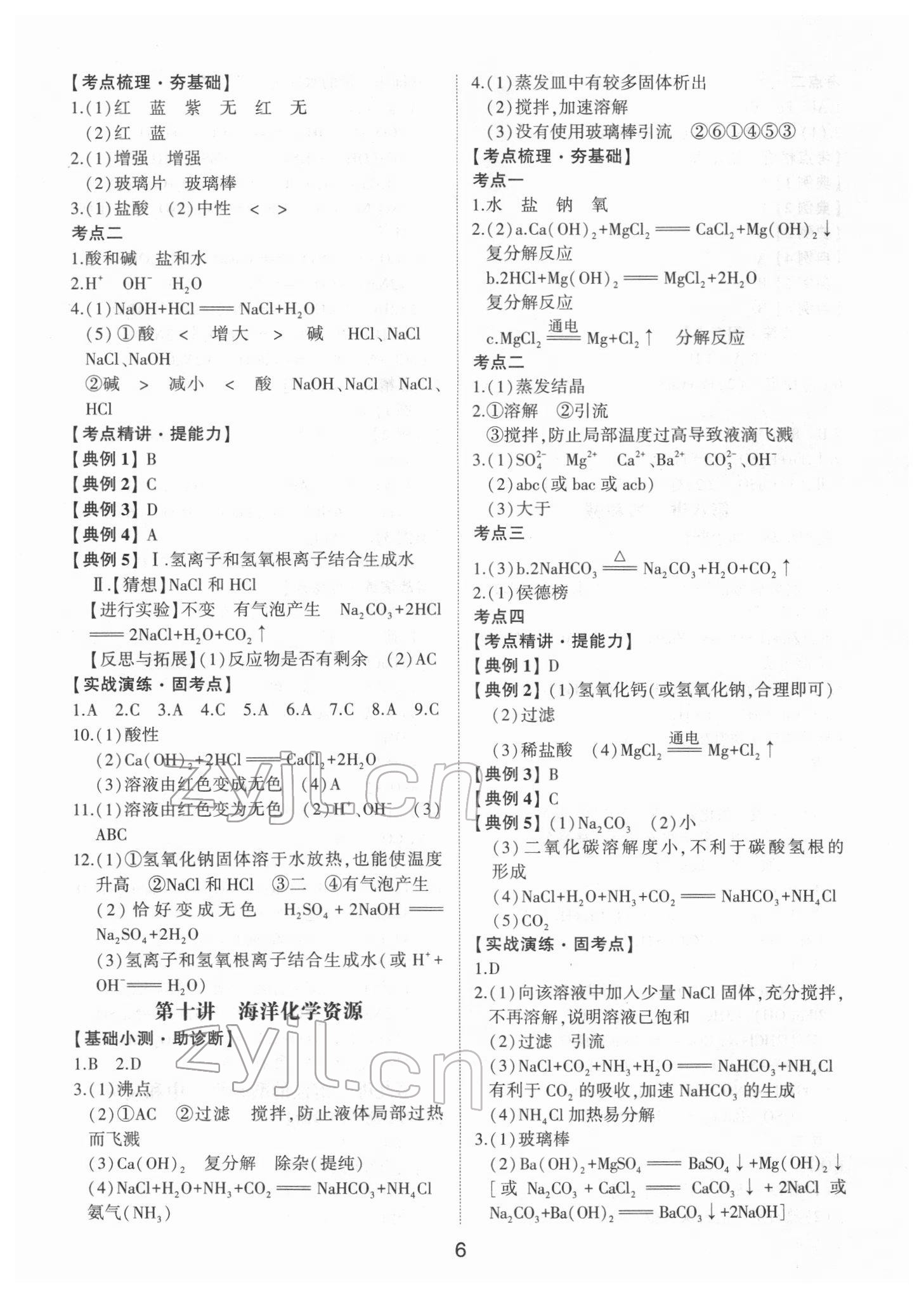 2022年初中總復(fù)習(xí)手冊山東科學(xué)技術(shù)出版社化學(xué) 第6頁