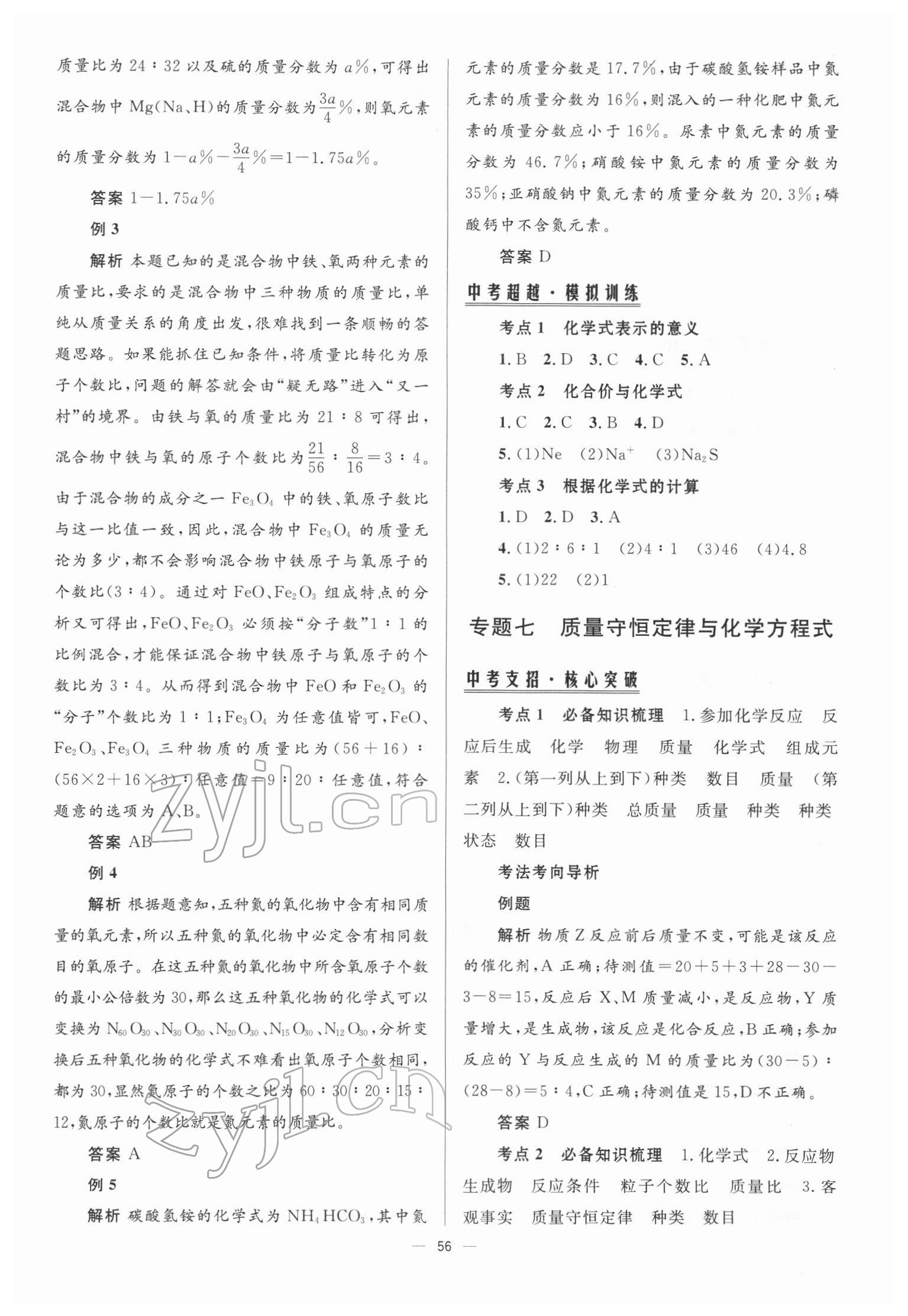 2022年初中總復習手冊北京師范大學出版社化學 參考答案第7頁