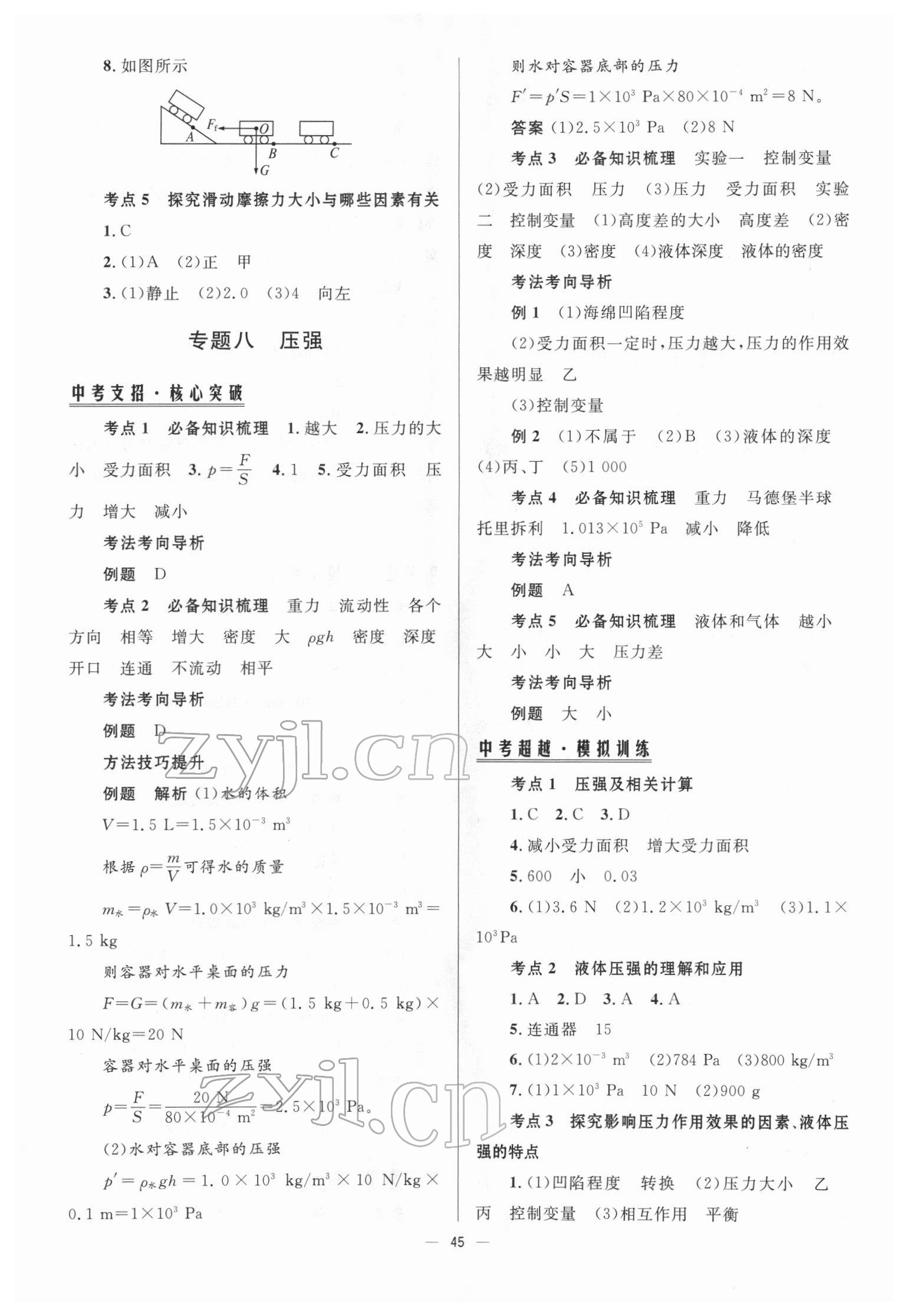 2022年初中總復(fù)習(xí)手冊北京師范大學(xué)出版社物理 參考答案第6頁