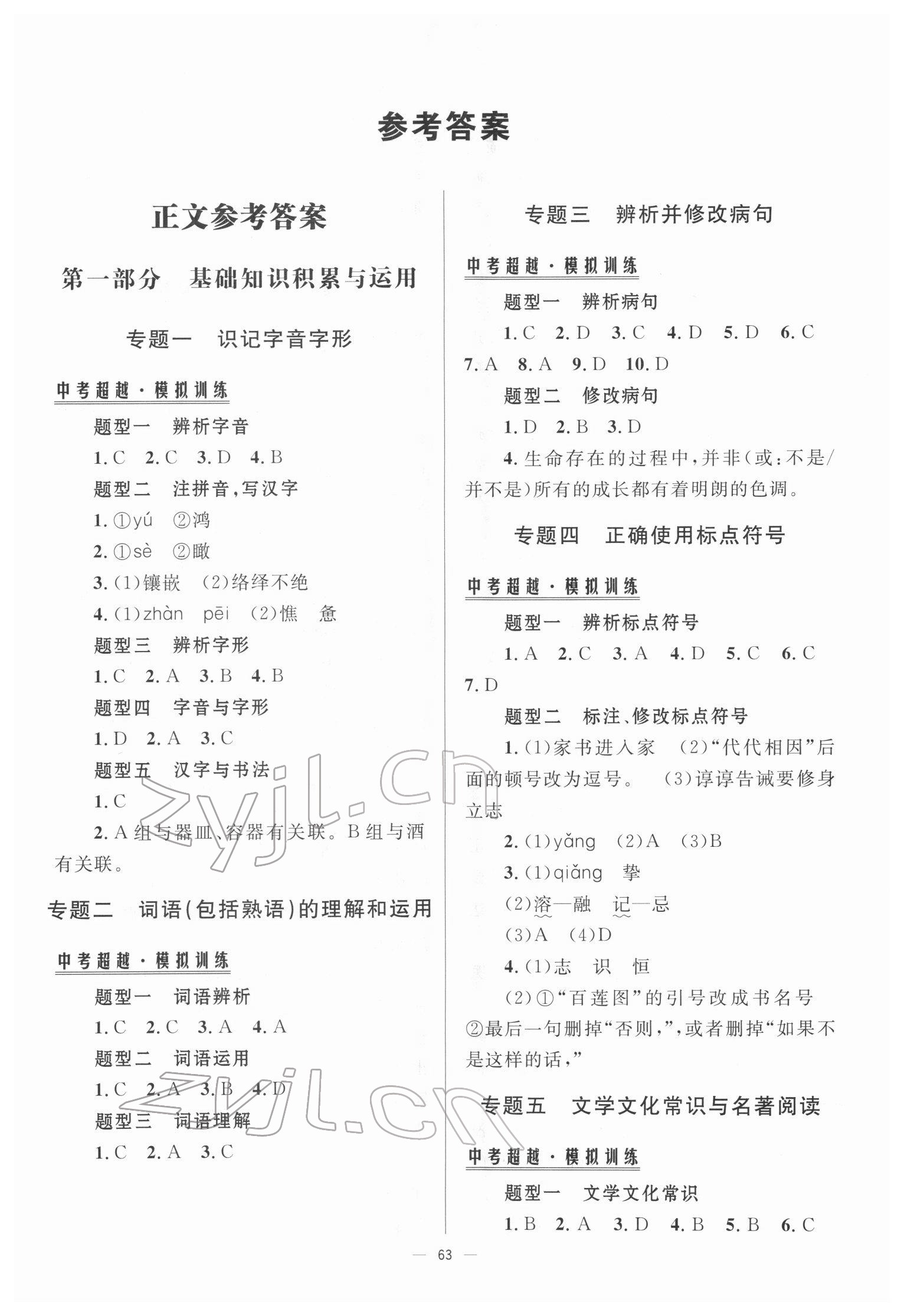 2022年初中總復習手冊北京師范大學出版社語文 第1頁