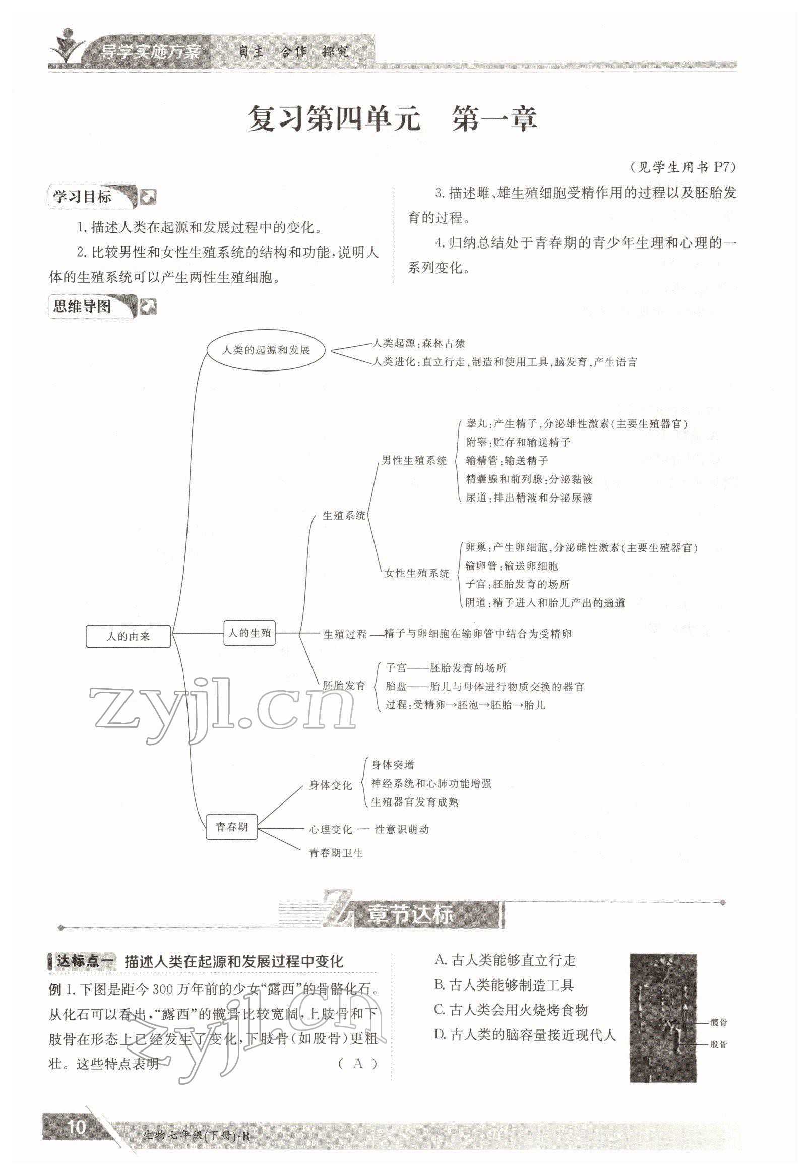 2022年金太陽導(dǎo)學(xué)測評七年級生物下冊人教版 參考答案第10頁