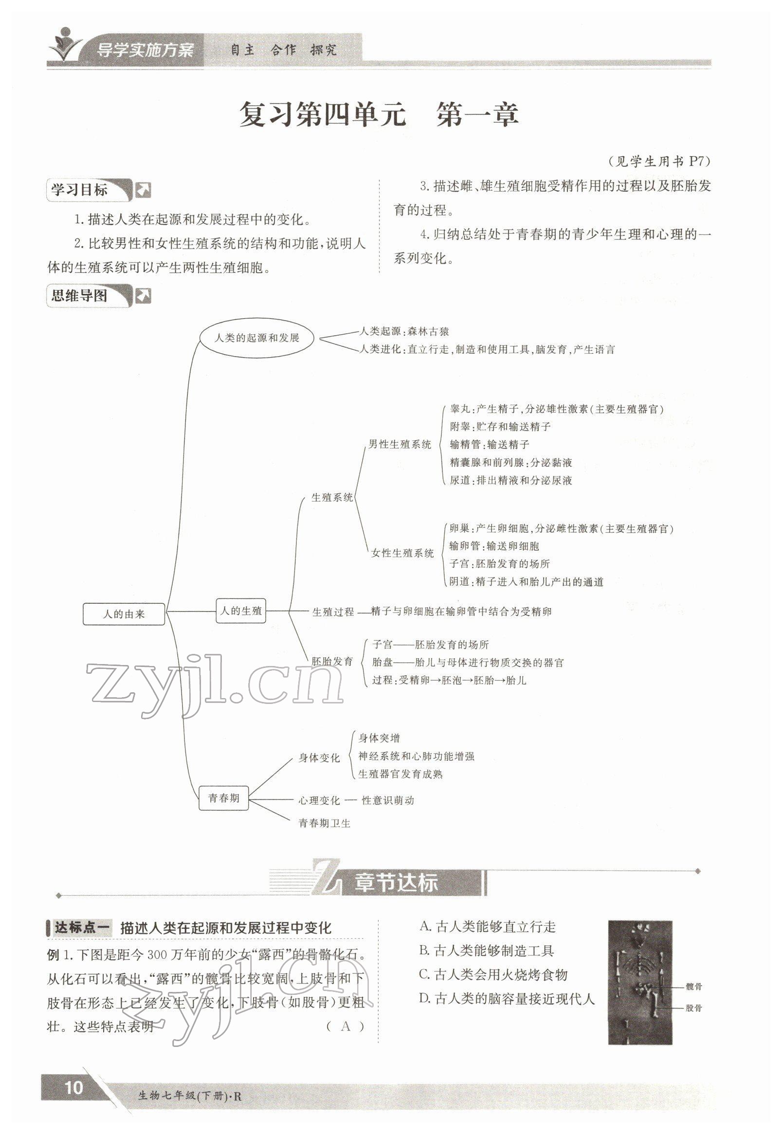 2022年三段六步導學案七年級生物下冊人教版 參考答案第10頁