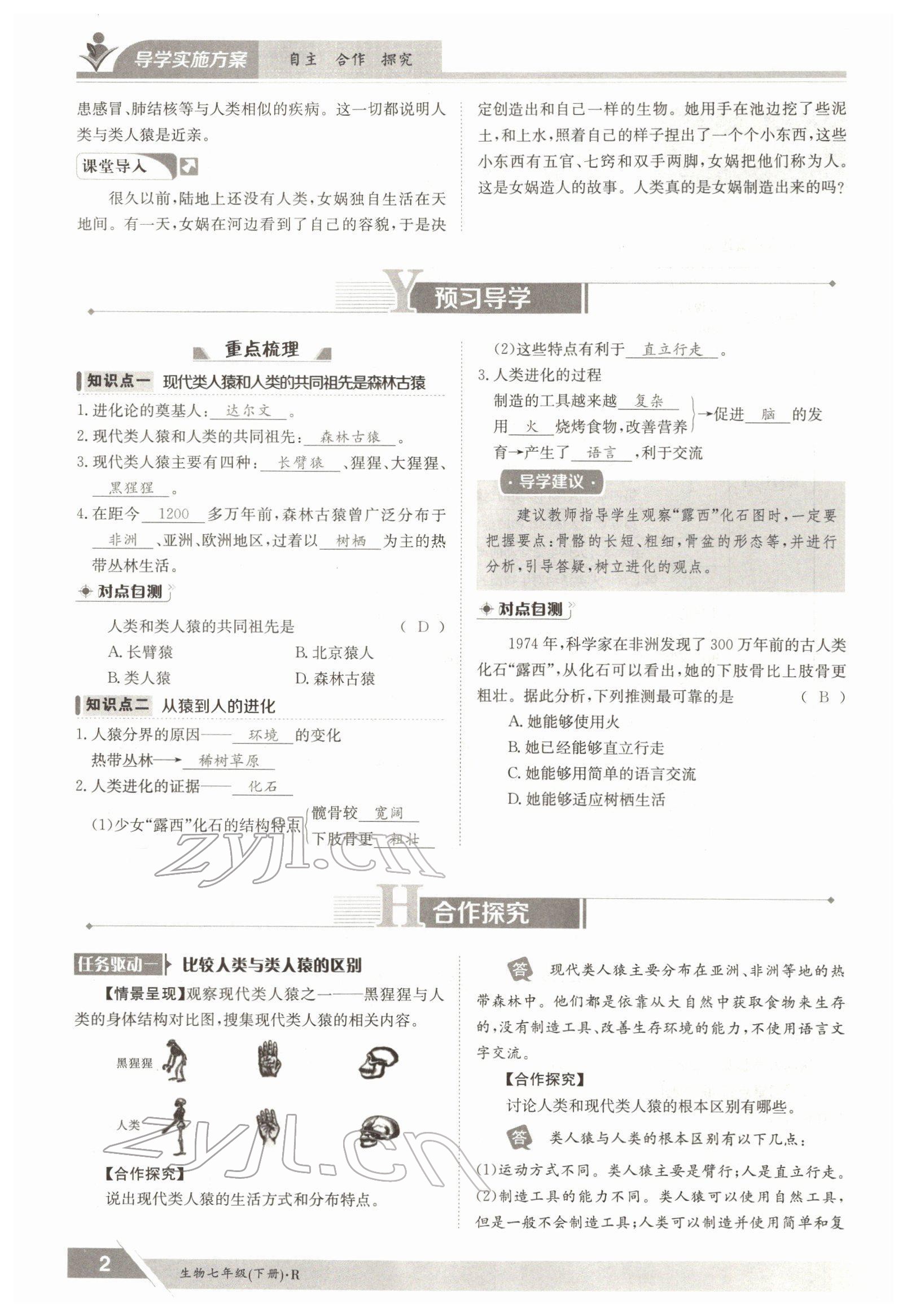 2022年三段六步導學案七年級生物下冊人教版 參考答案第2頁