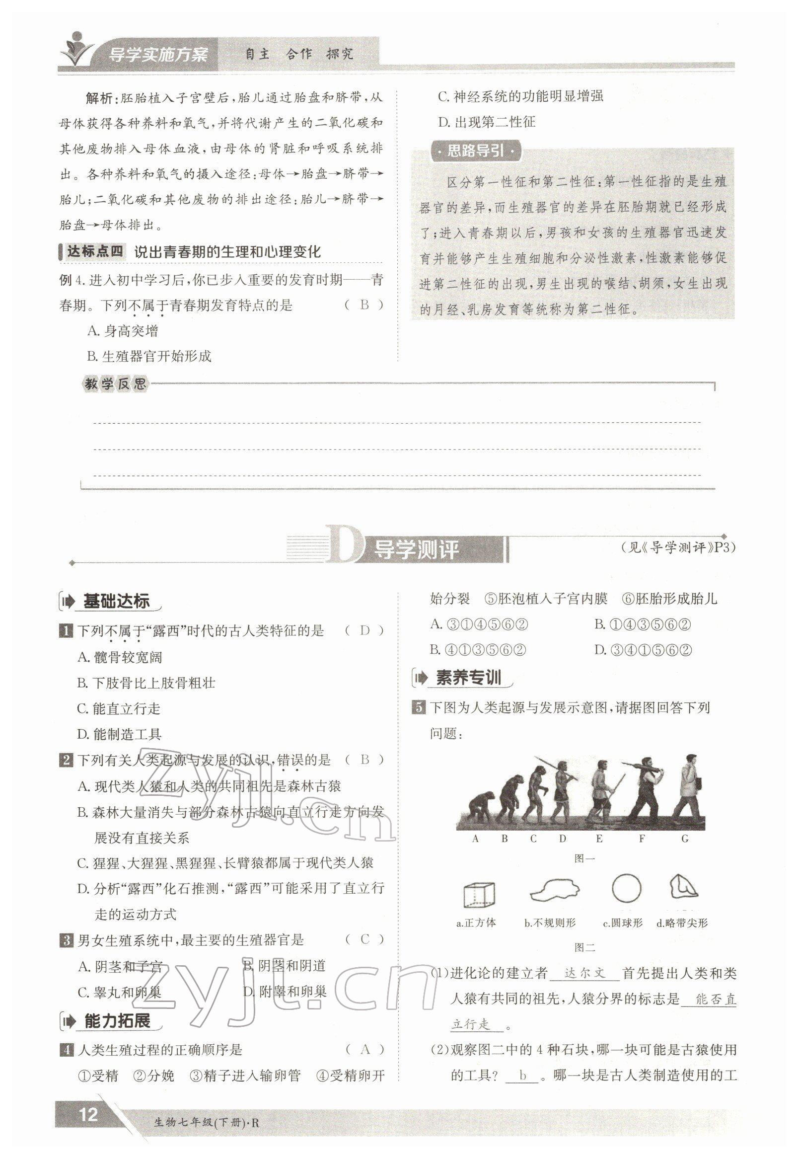2022年三段六步導(dǎo)學(xué)測評七年級生物下冊人教版 參考答案第12頁