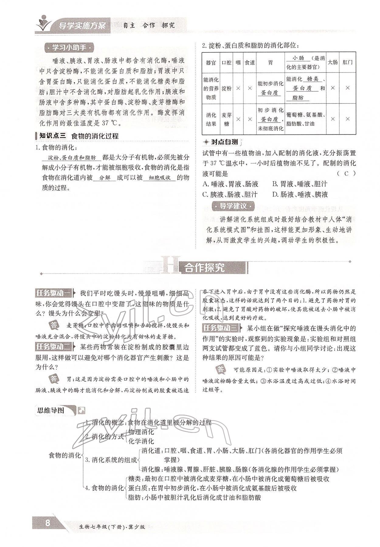 2022年三段六步導學測評七年級生物下冊冀少版 參考答案第8頁