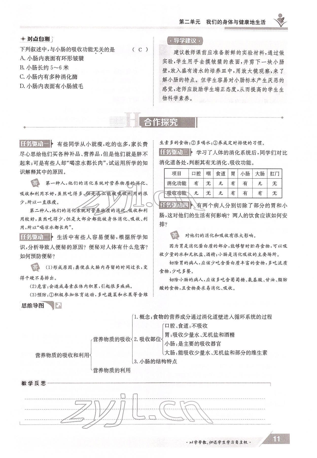 2022年三段六步導(dǎo)學(xué)測評七年級生物下冊冀少版 參考答案第11頁