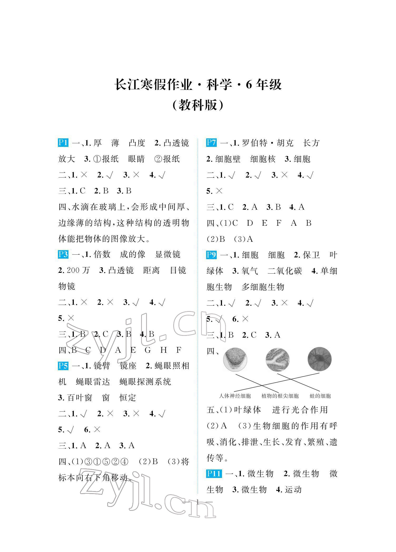 2022年长江寒假作业崇文书局六年级科学教科版 参考答案第1页