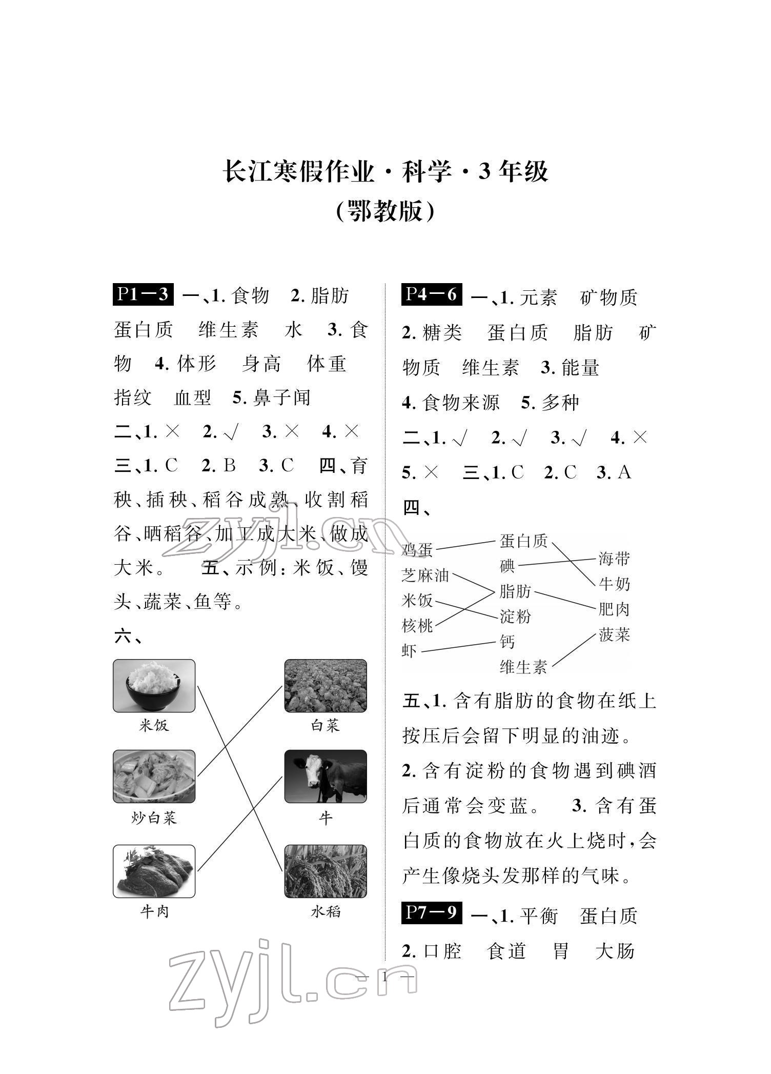 2022年长江寒假作业崇文书局三年级科学鄂教版 参考答案第1页