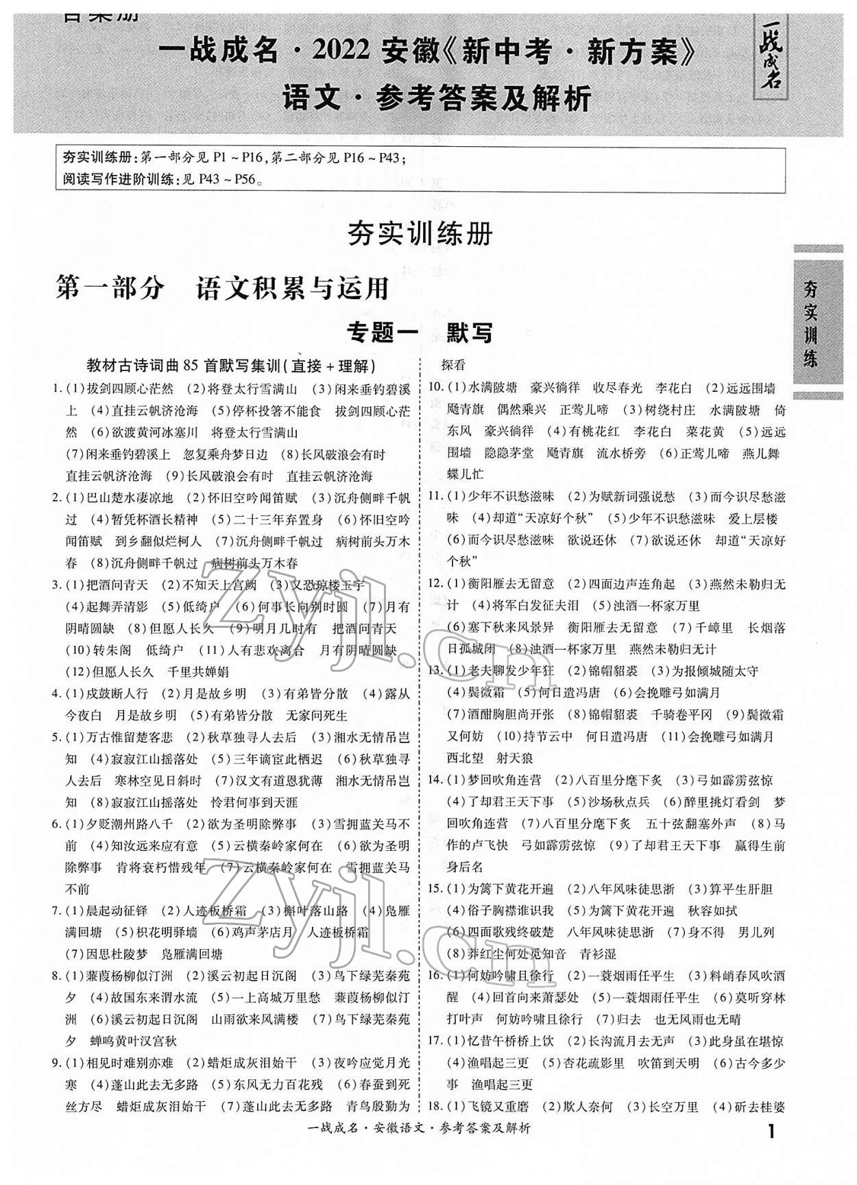 2022年一战成名考前新方案语文人教版安徽专版 第1页