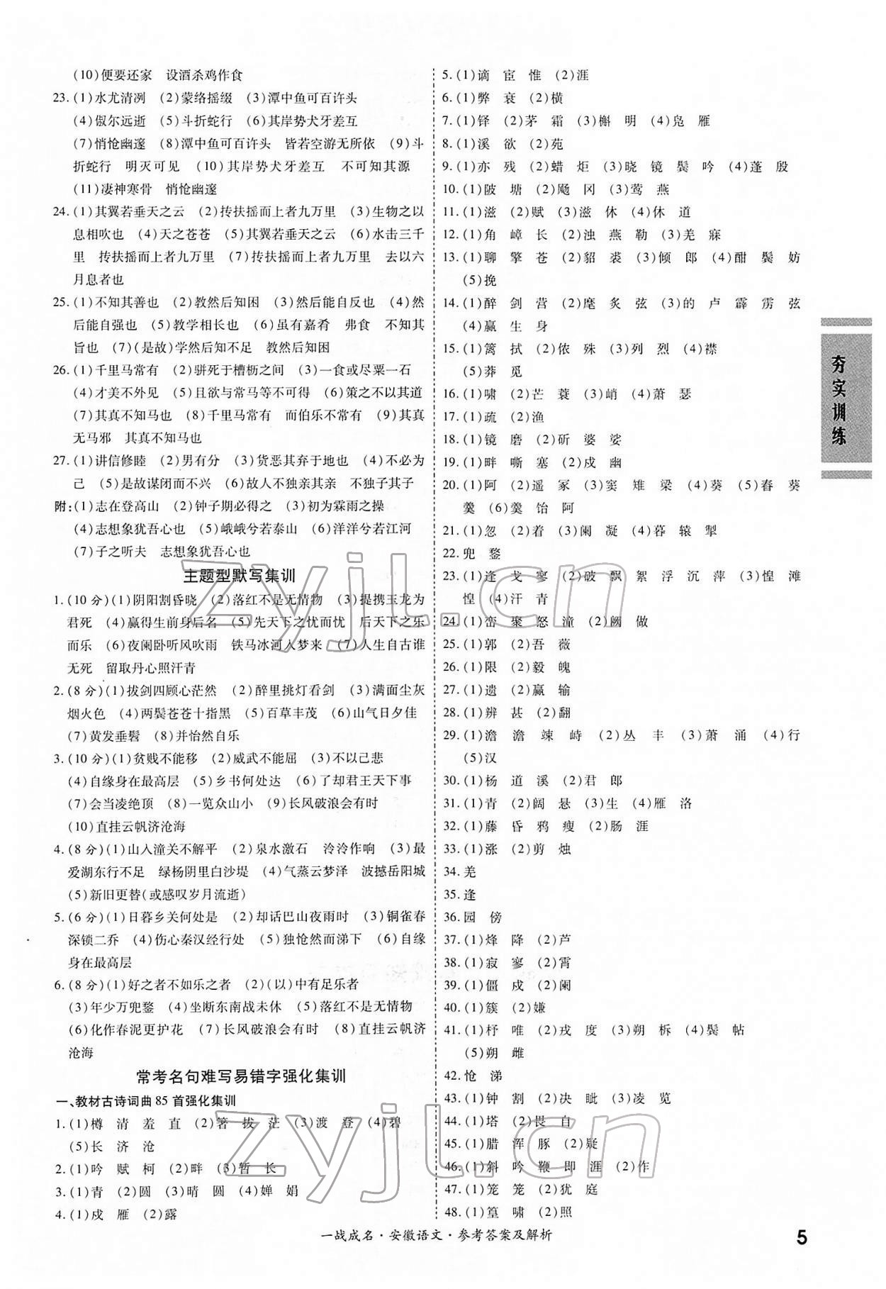 2022年一战成名考前新方案语文人教版安徽专版 第5页