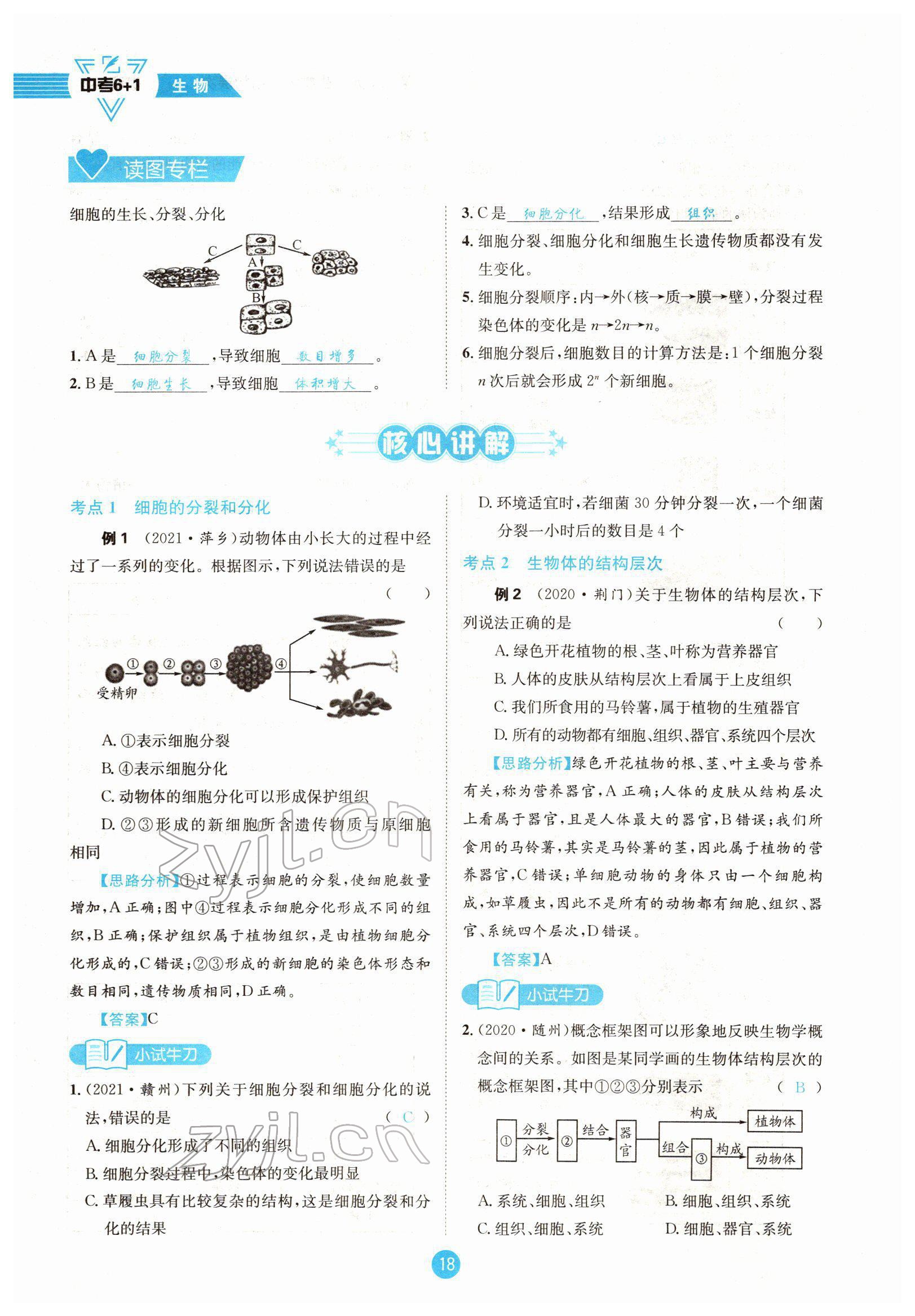 2022年中考6加1生物達州專版 參考答案第18頁