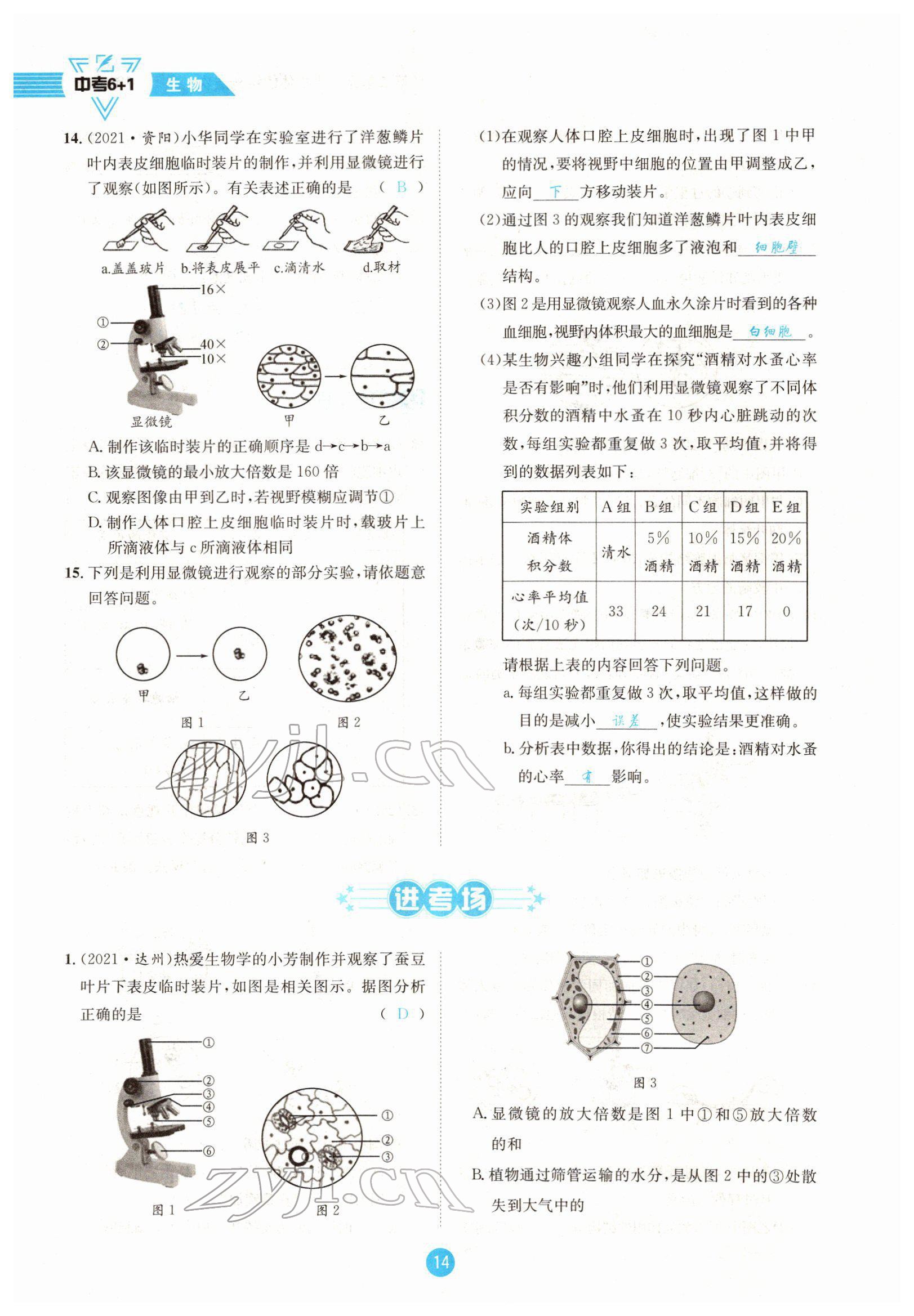 2022年中考6加1生物達州專版 參考答案第14頁