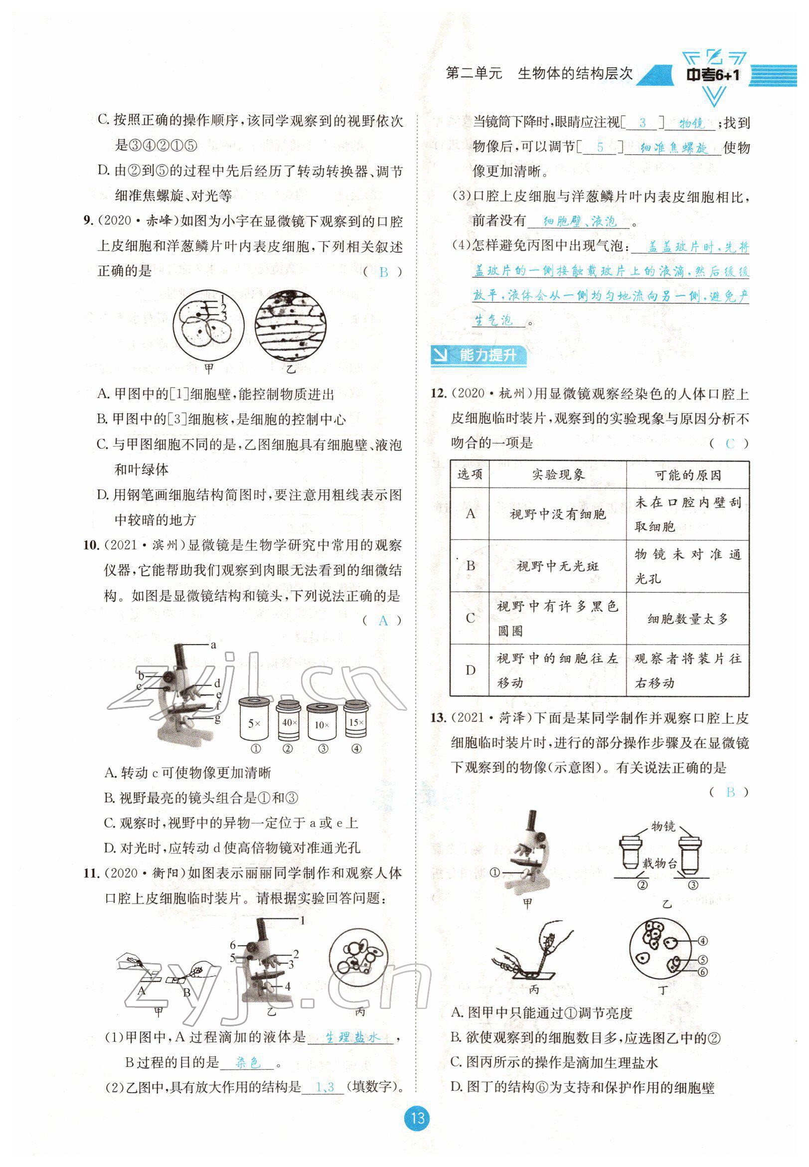 2022年中考6加1生物達(dá)州專(zhuān)版 參考答案第13頁(yè)