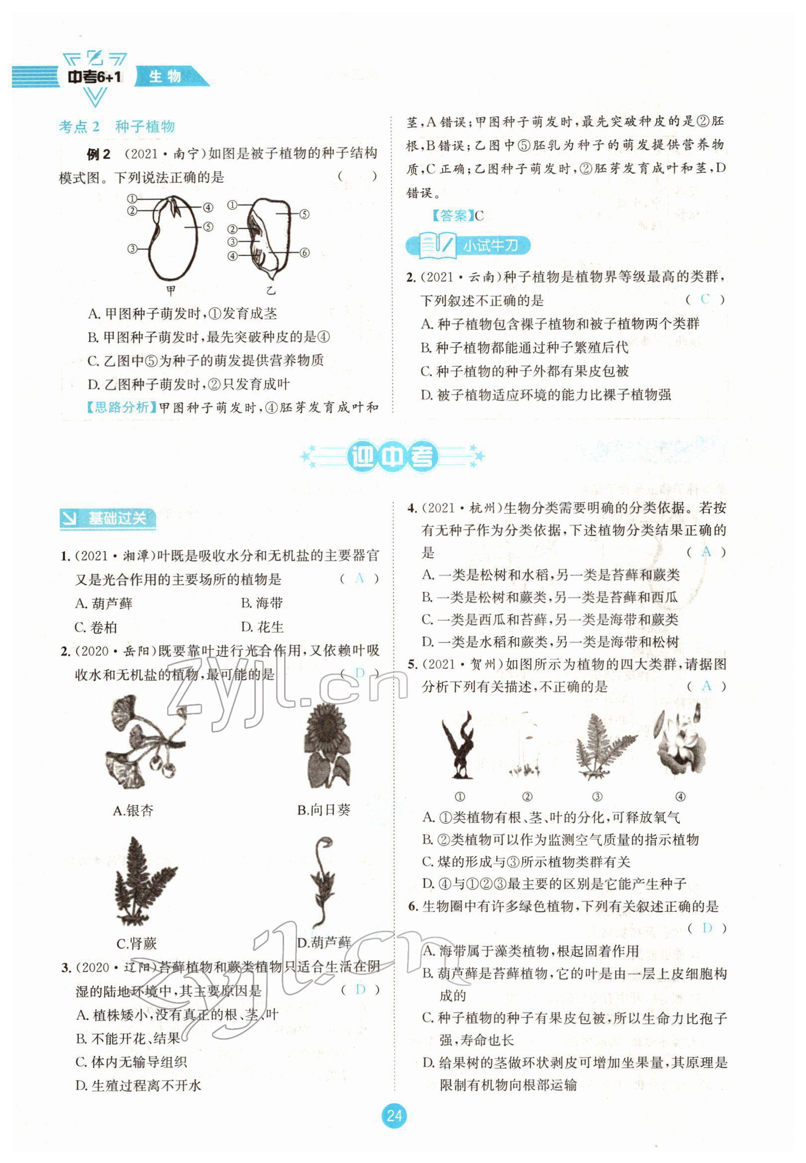 2022年中考6加1生物達(dá)州專版 參考答案第24頁