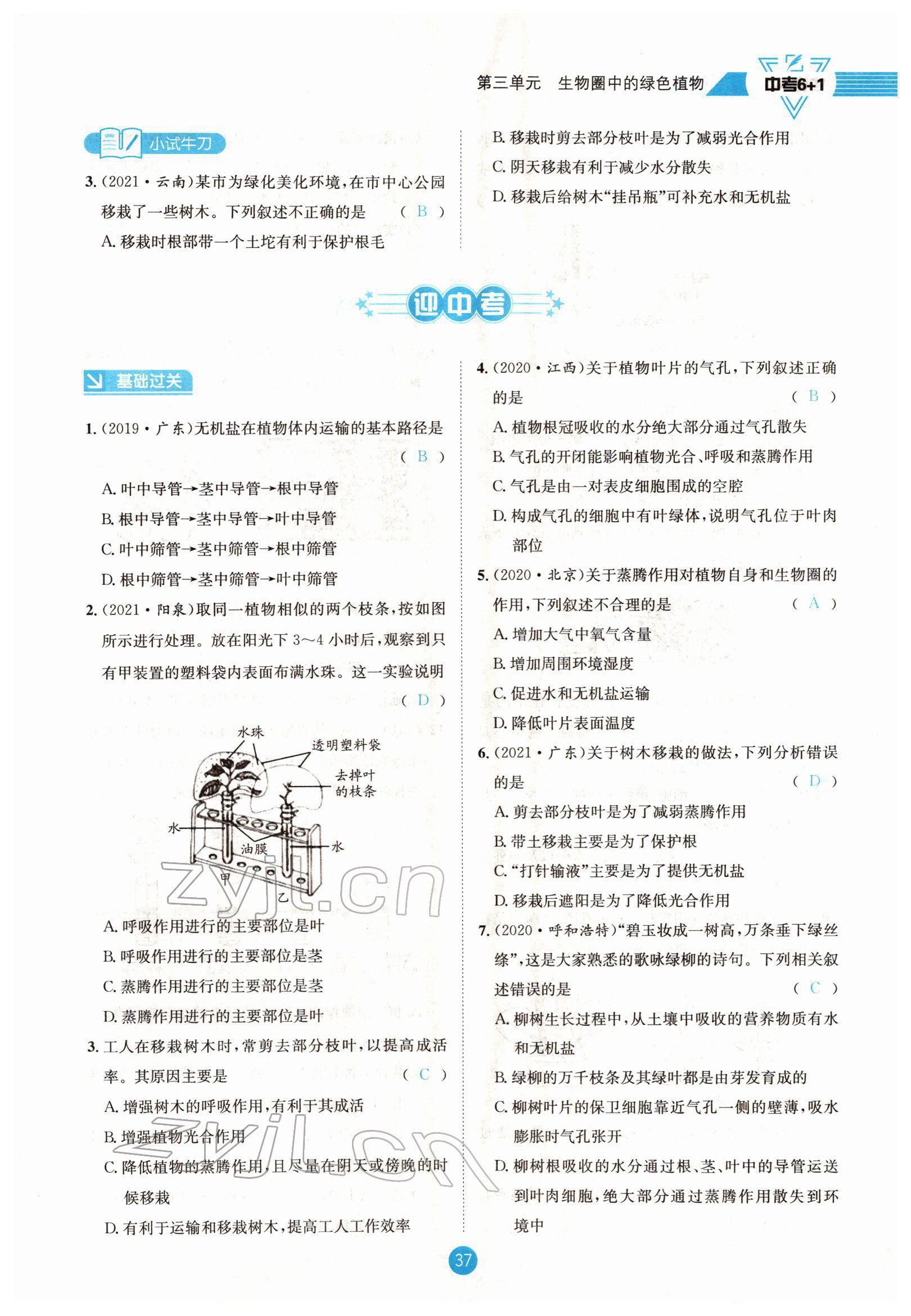 2022年中考6加1生物達(dá)州專版 參考答案第37頁