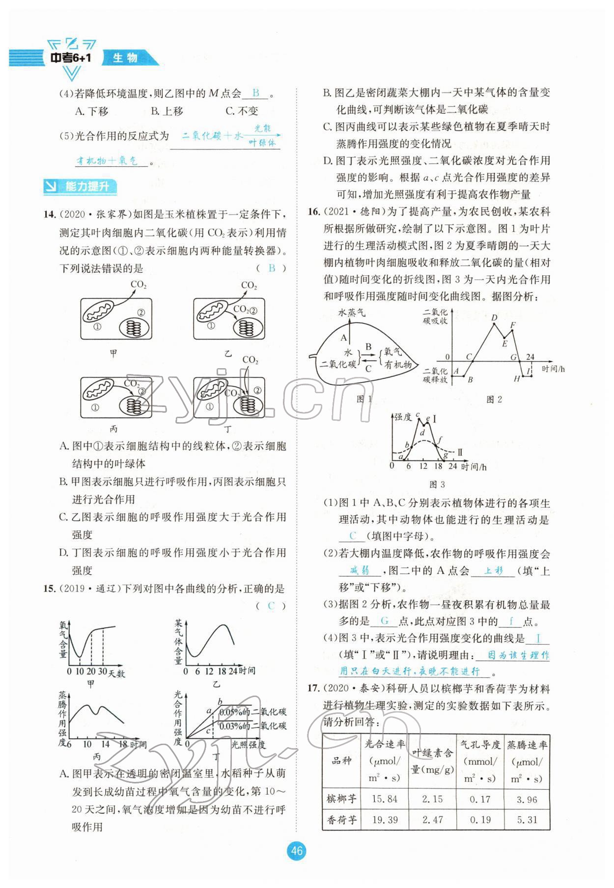 2022年中考6加1生物達(dá)州專版 參考答案第46頁