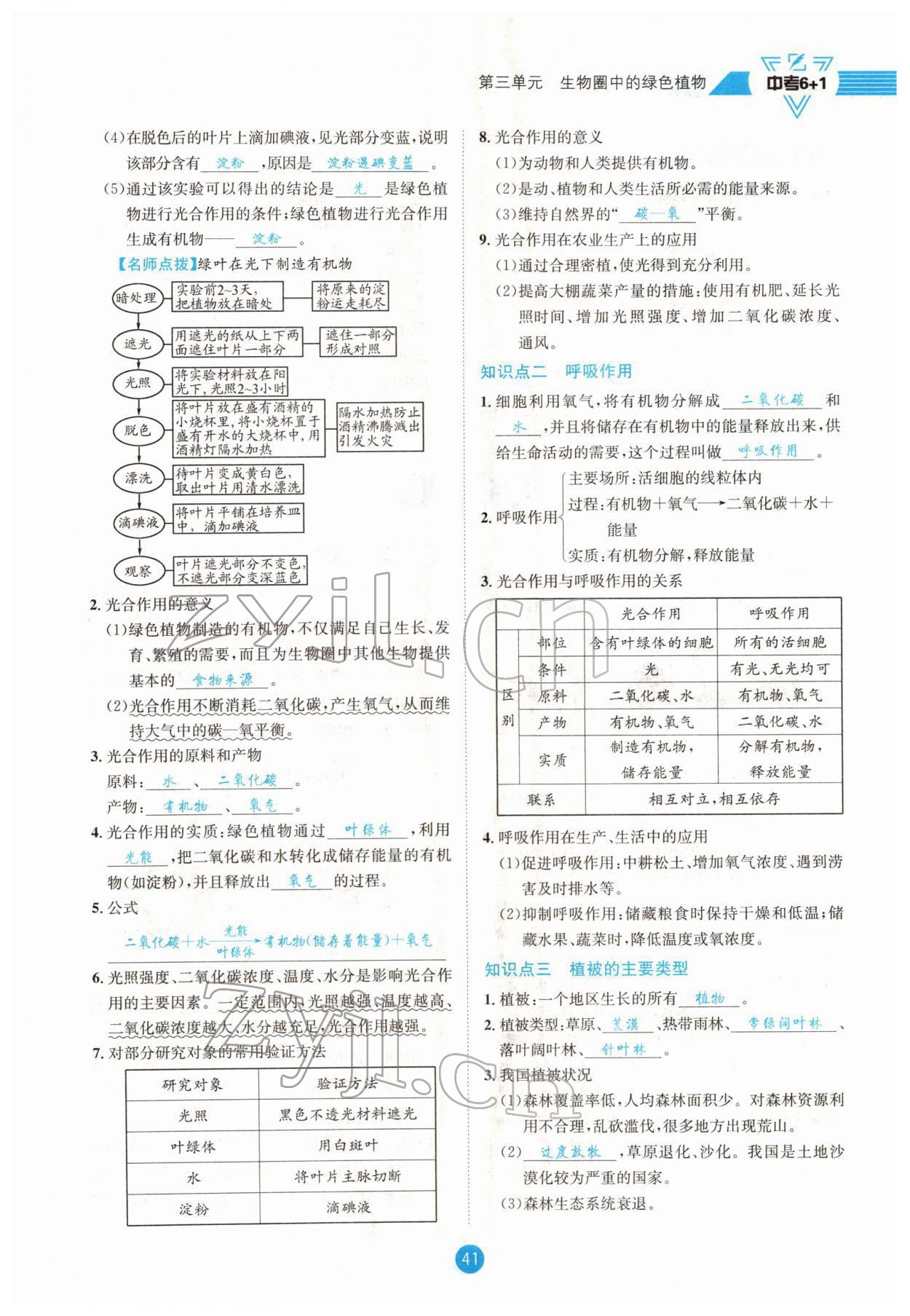 2022年中考6加1生物達州專版 參考答案第41頁