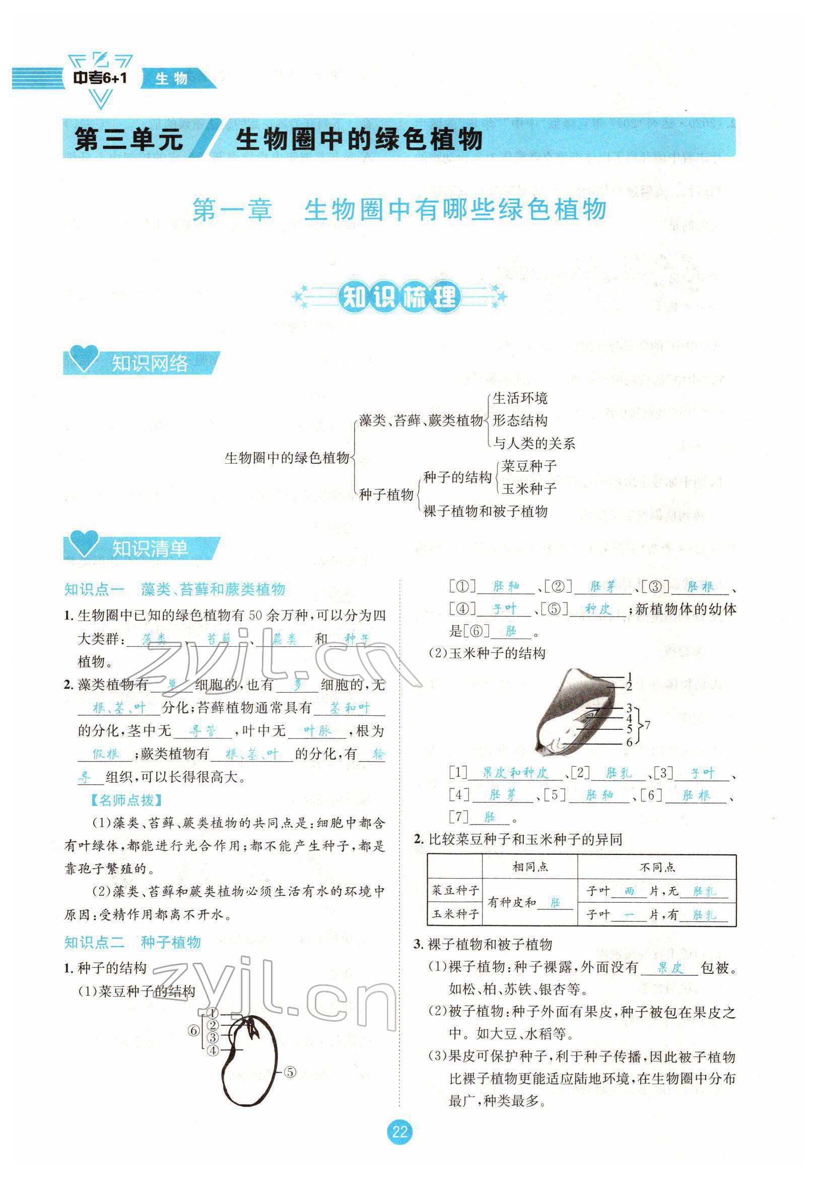 2022年中考6加1生物達州專版 參考答案第22頁