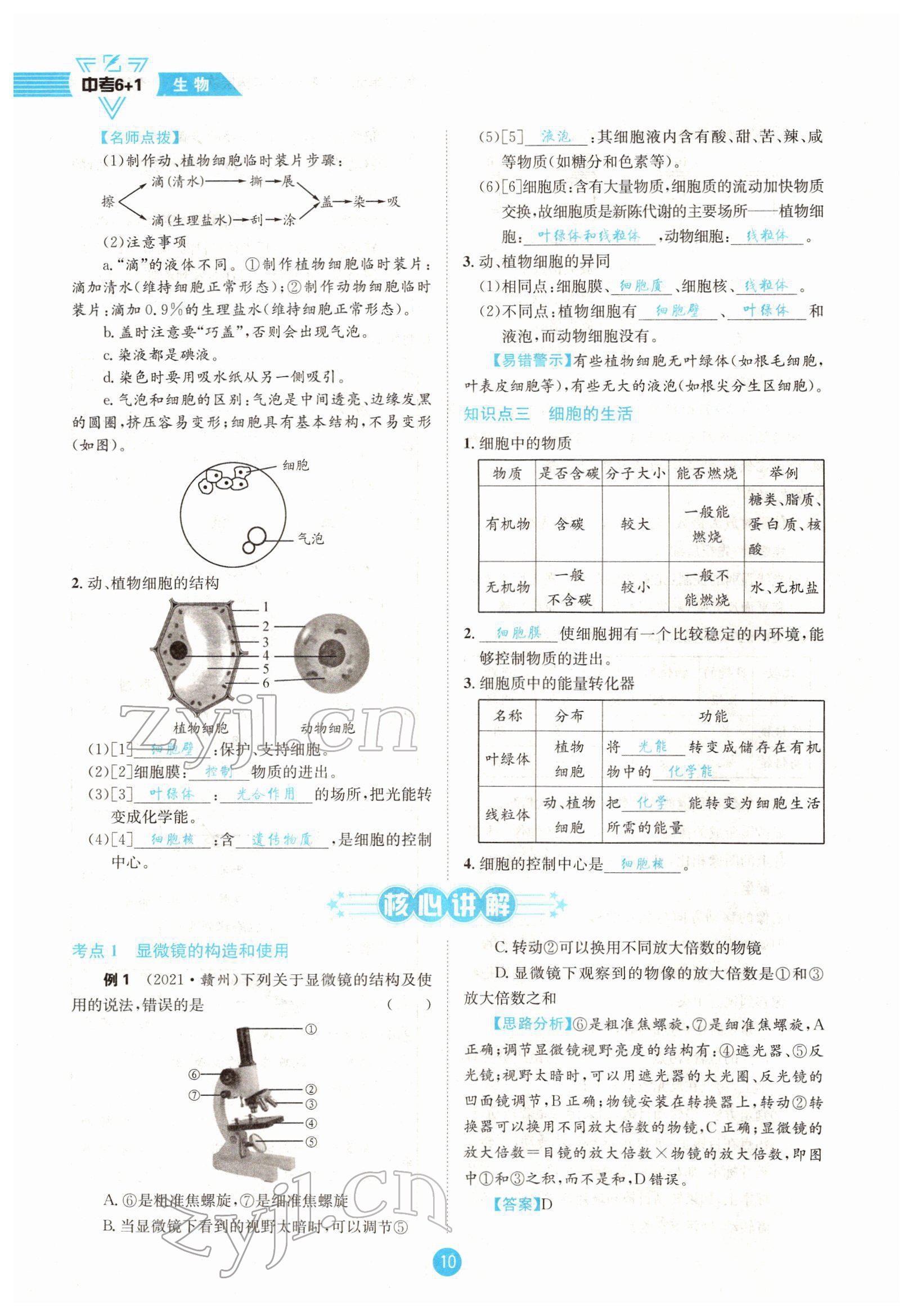 2022年中考6加1生物達(dá)州專(zhuān)版 參考答案第10頁(yè)