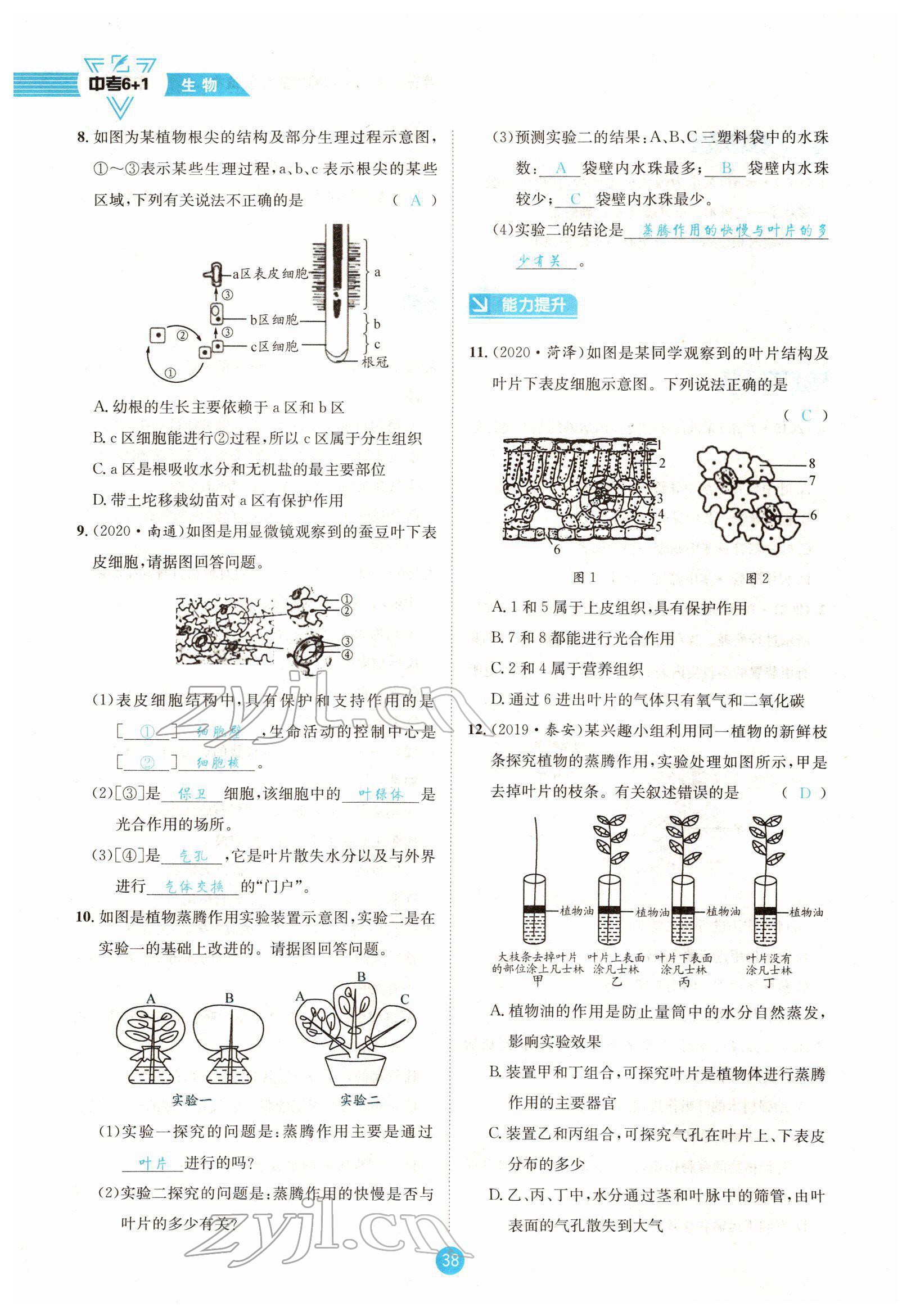 2022年中考6加1生物達(dá)州專版 參考答案第38頁