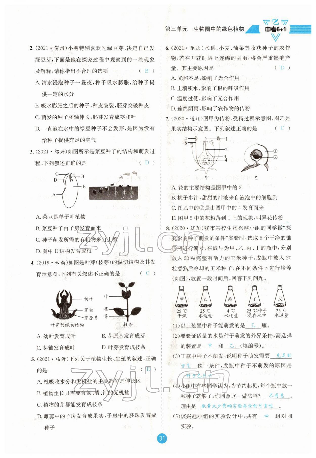 2022年中考6加1生物達州專版 參考答案第31頁