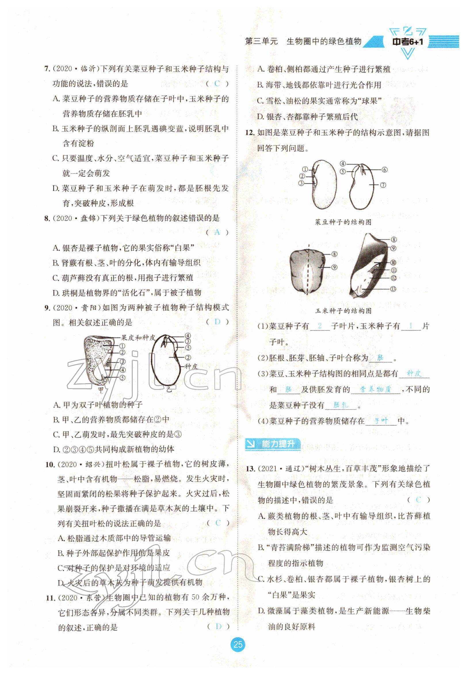 2022年中考6加1生物達州專版 參考答案第25頁