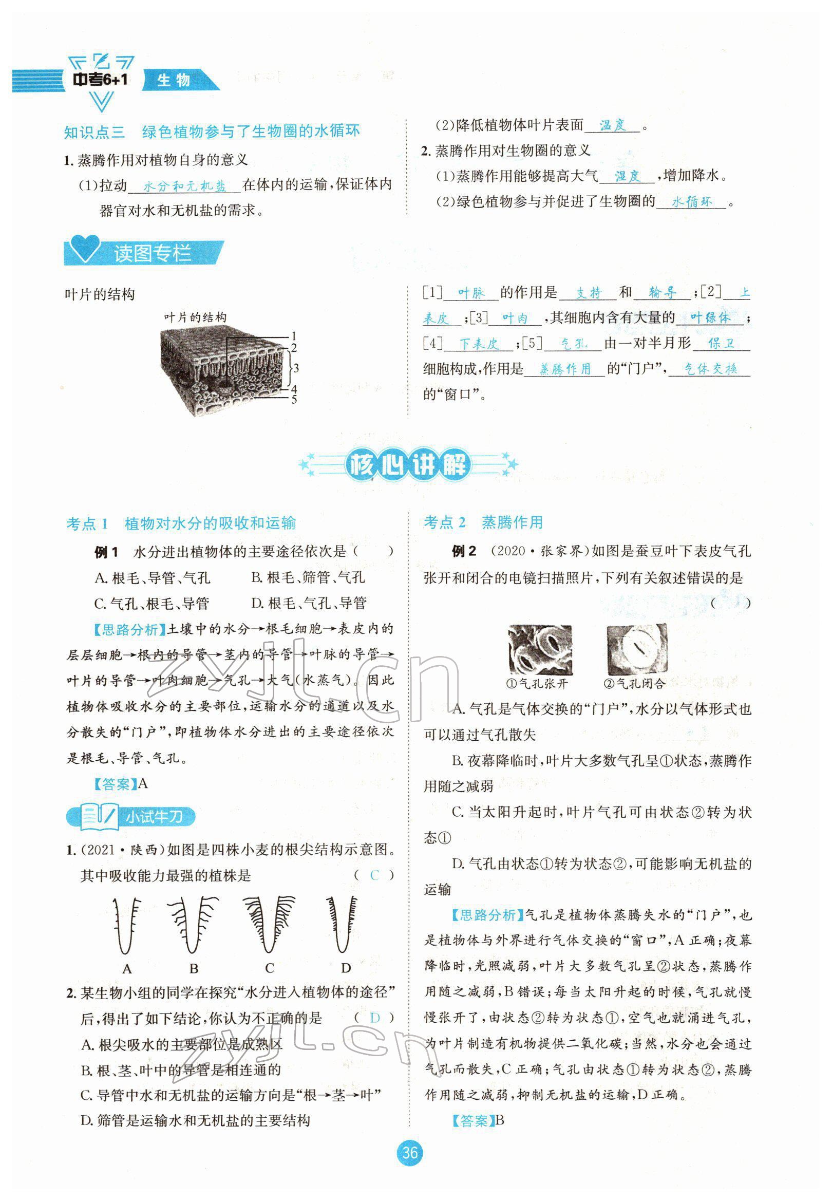 2022年中考6加1生物達(dá)州專版 參考答案第36頁(yè)