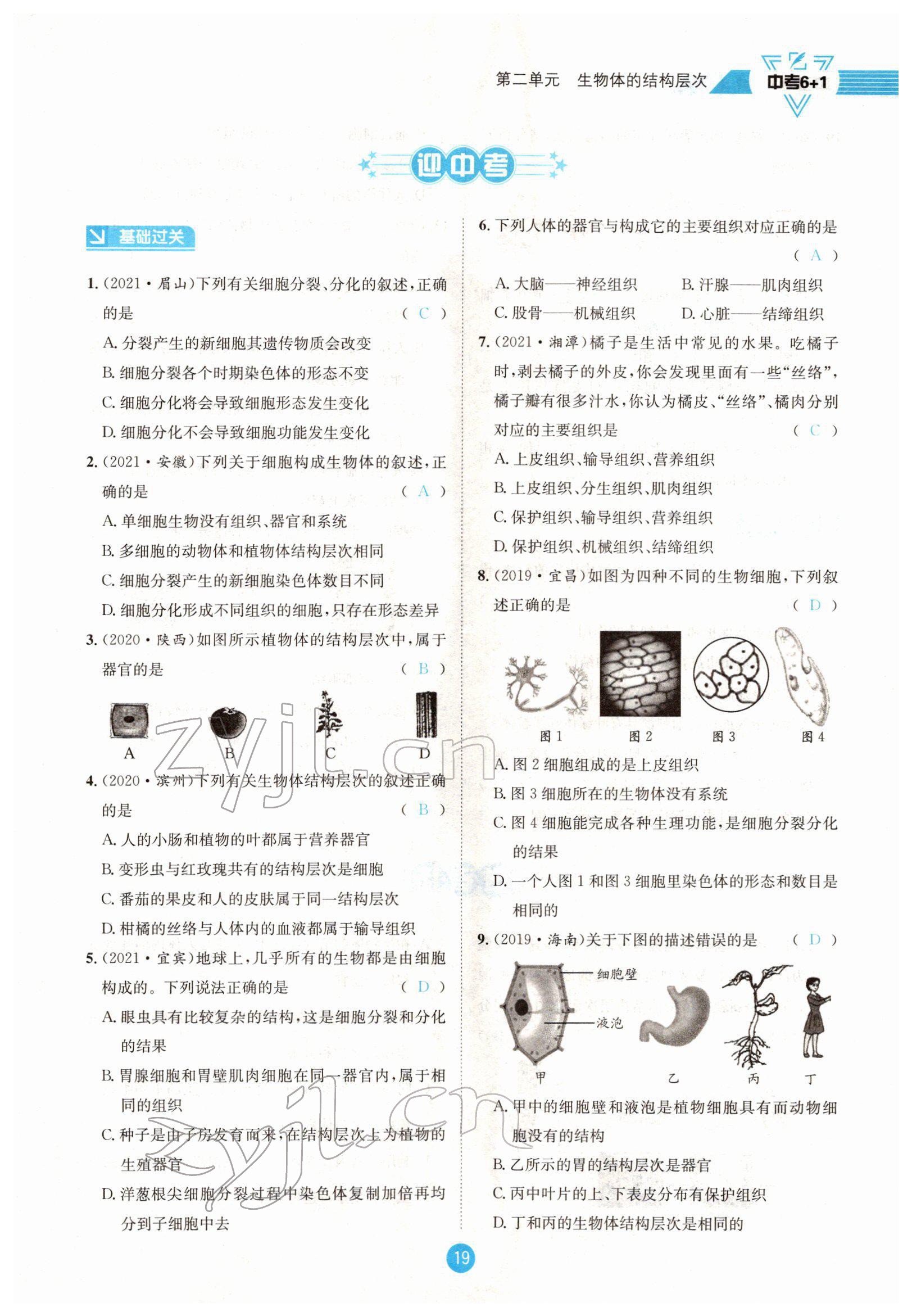 2022年中考6加1生物達(dá)州專版 參考答案第19頁