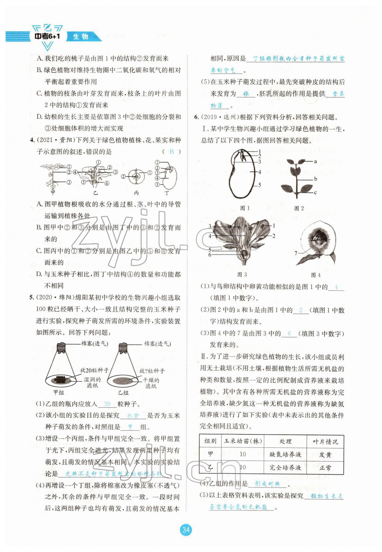 2022年中考6加1生物達州專版 參考答案第34頁