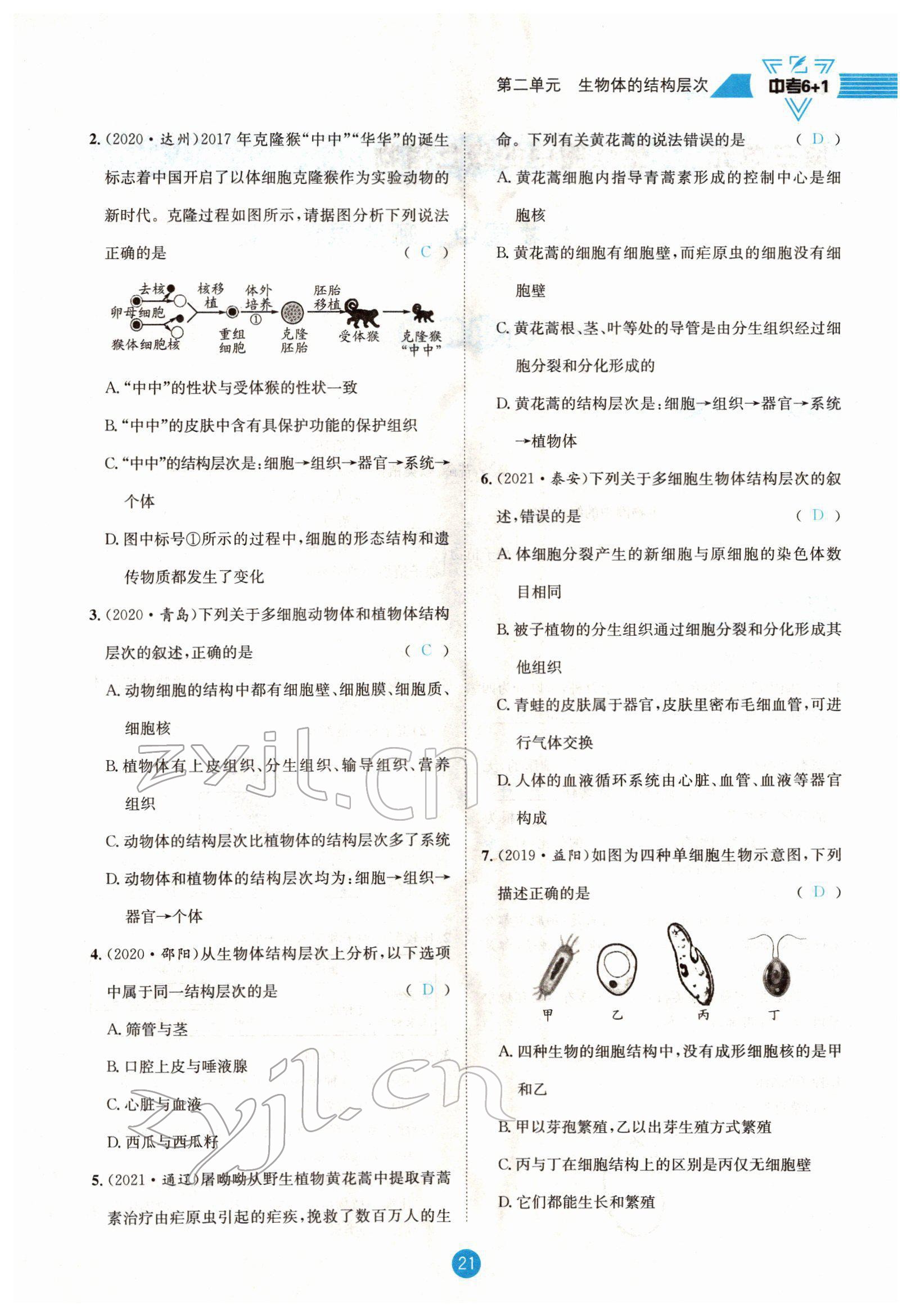 2022年中考6加1生物達(dá)州專版 參考答案第21頁(yè)