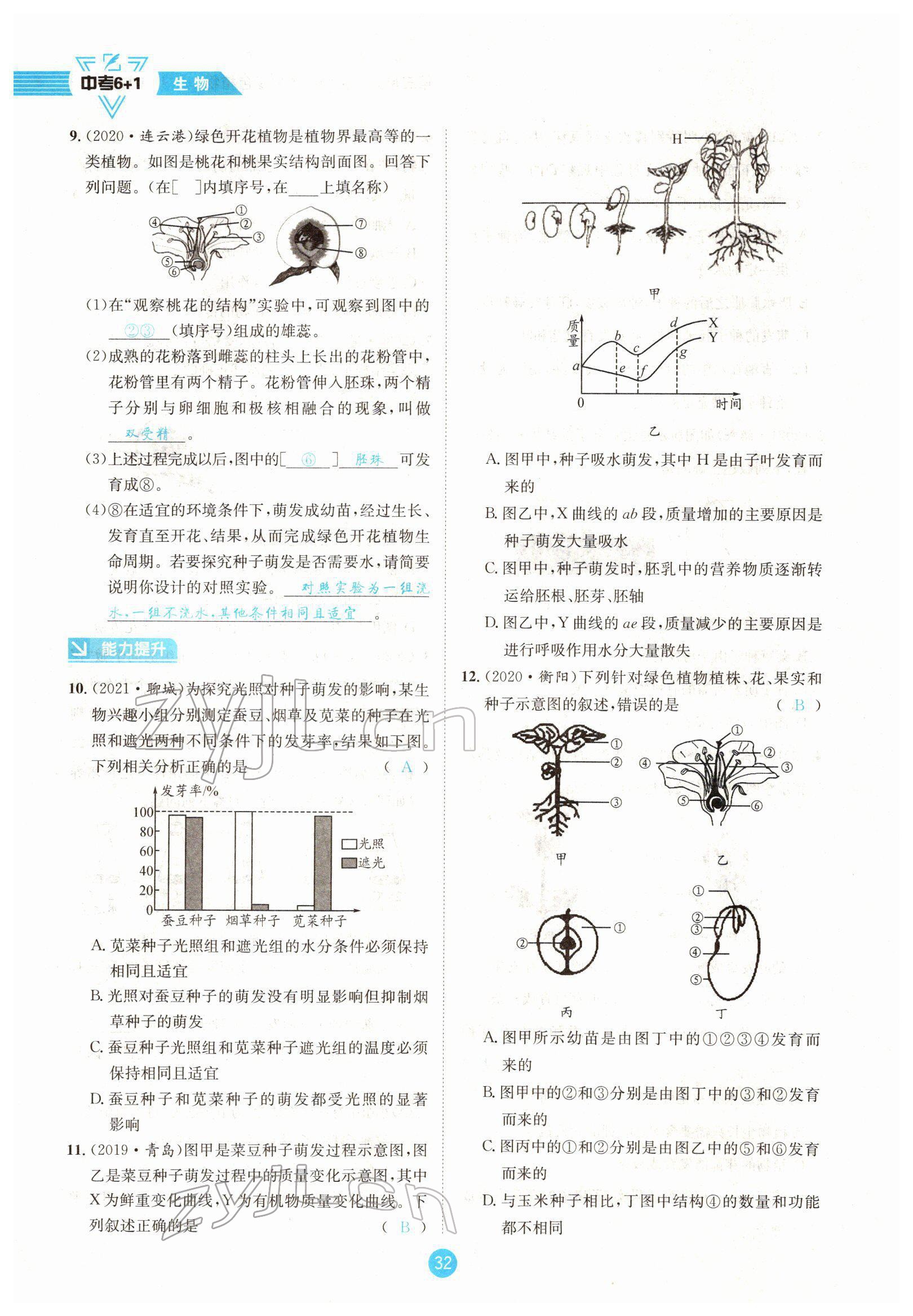 2022年中考6加1生物達州專版 參考答案第32頁