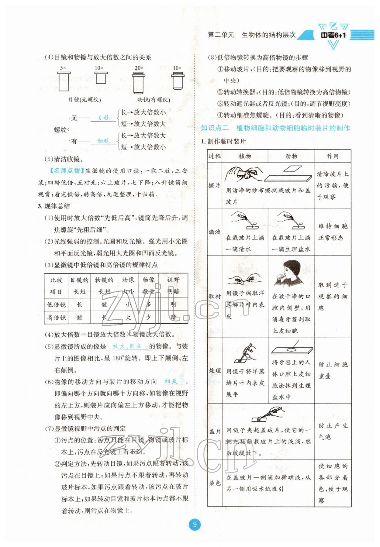 2022年中考6加1生物達(dá)州專版 參考答案第9頁