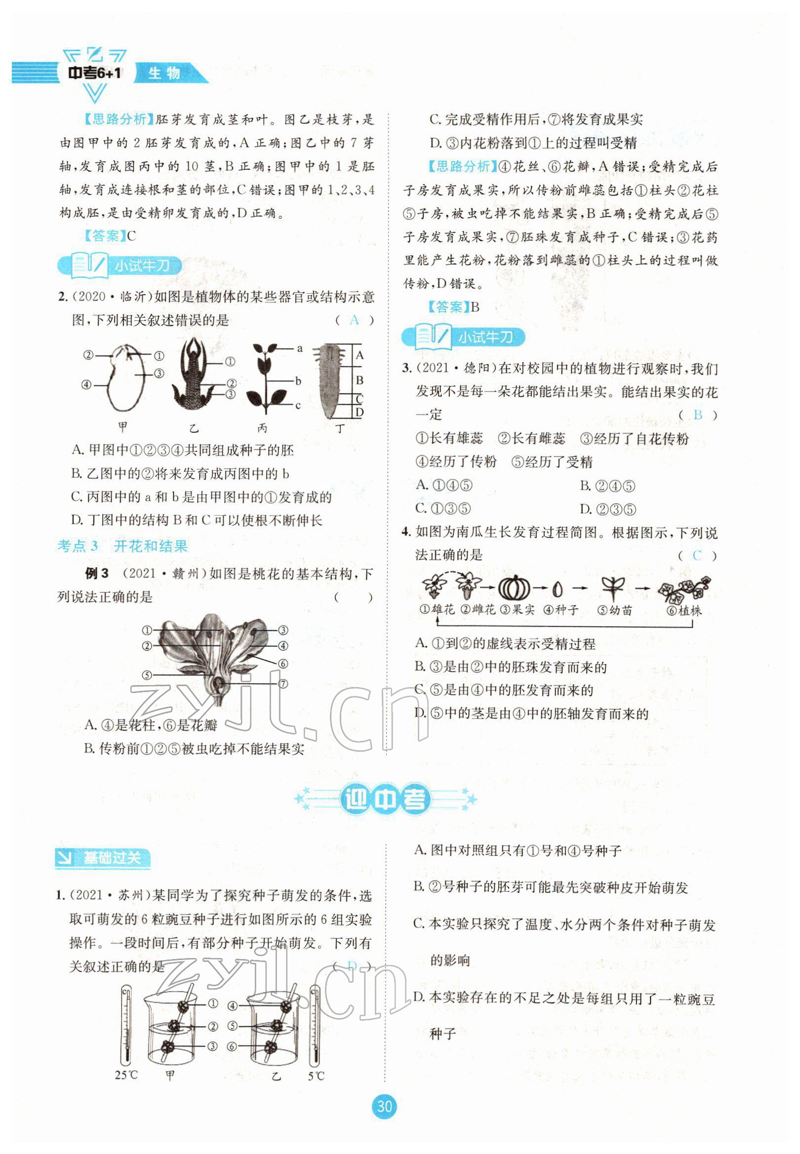 2022年中考6加1生物達州專版 參考答案第30頁