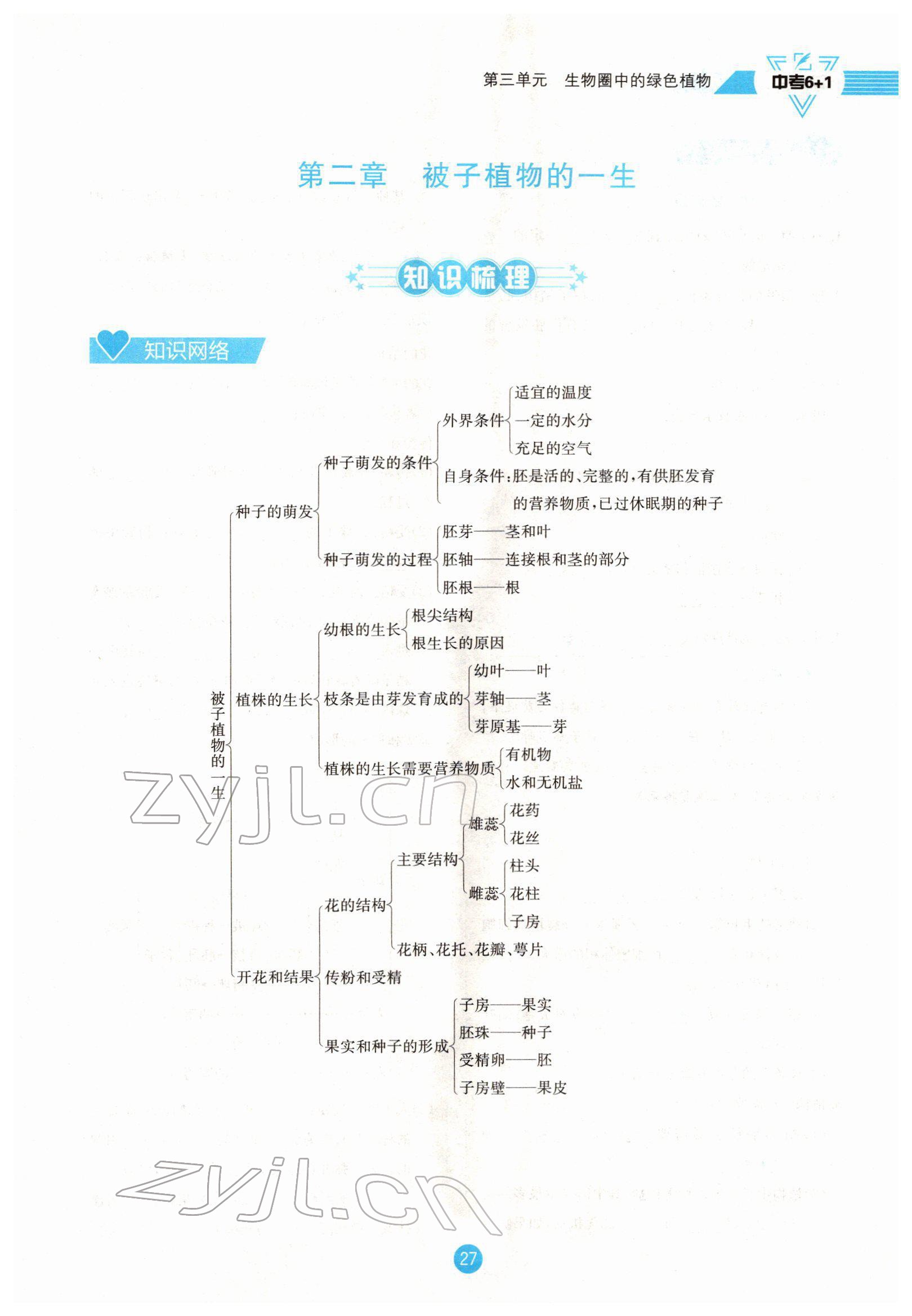 2022年中考6加1生物達州專版 參考答案第27頁