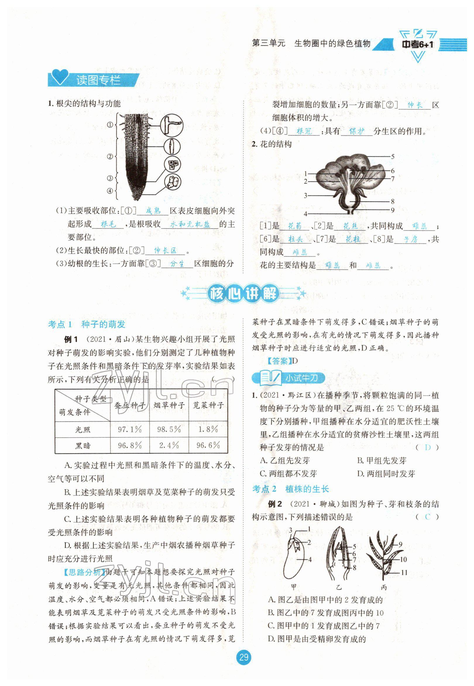 2022年中考6加1生物達(dá)州專版 參考答案第29頁