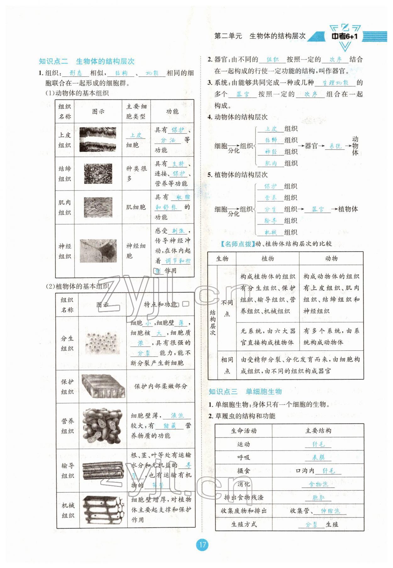 2022年中考6加1生物達(dá)州專版 參考答案第17頁