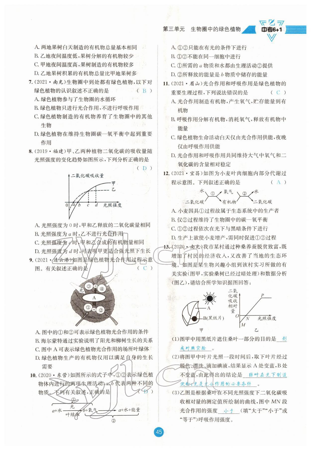 2022年中考6加1生物達(dá)州專版 參考答案第45頁