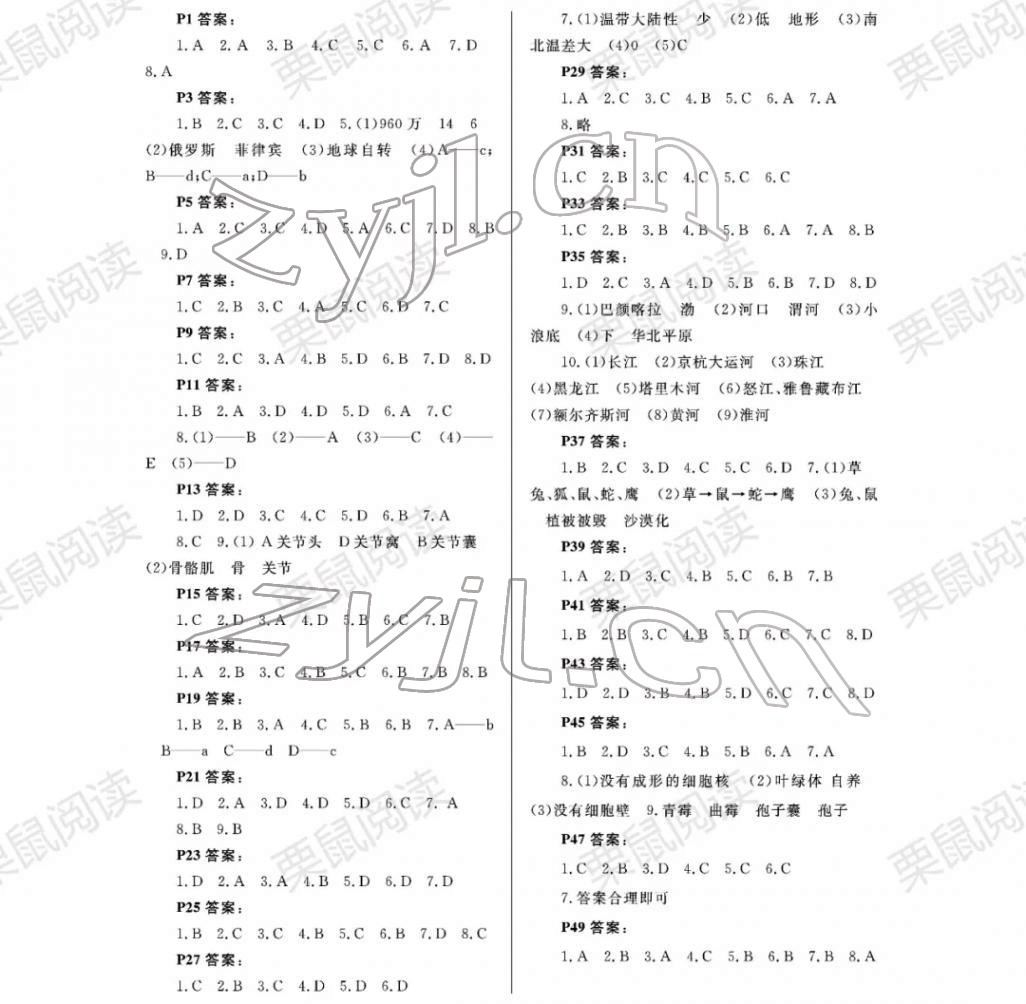 2022年寒假Happy假日八年級(jí)綜合冊(cè)通用版 參考答案第1頁