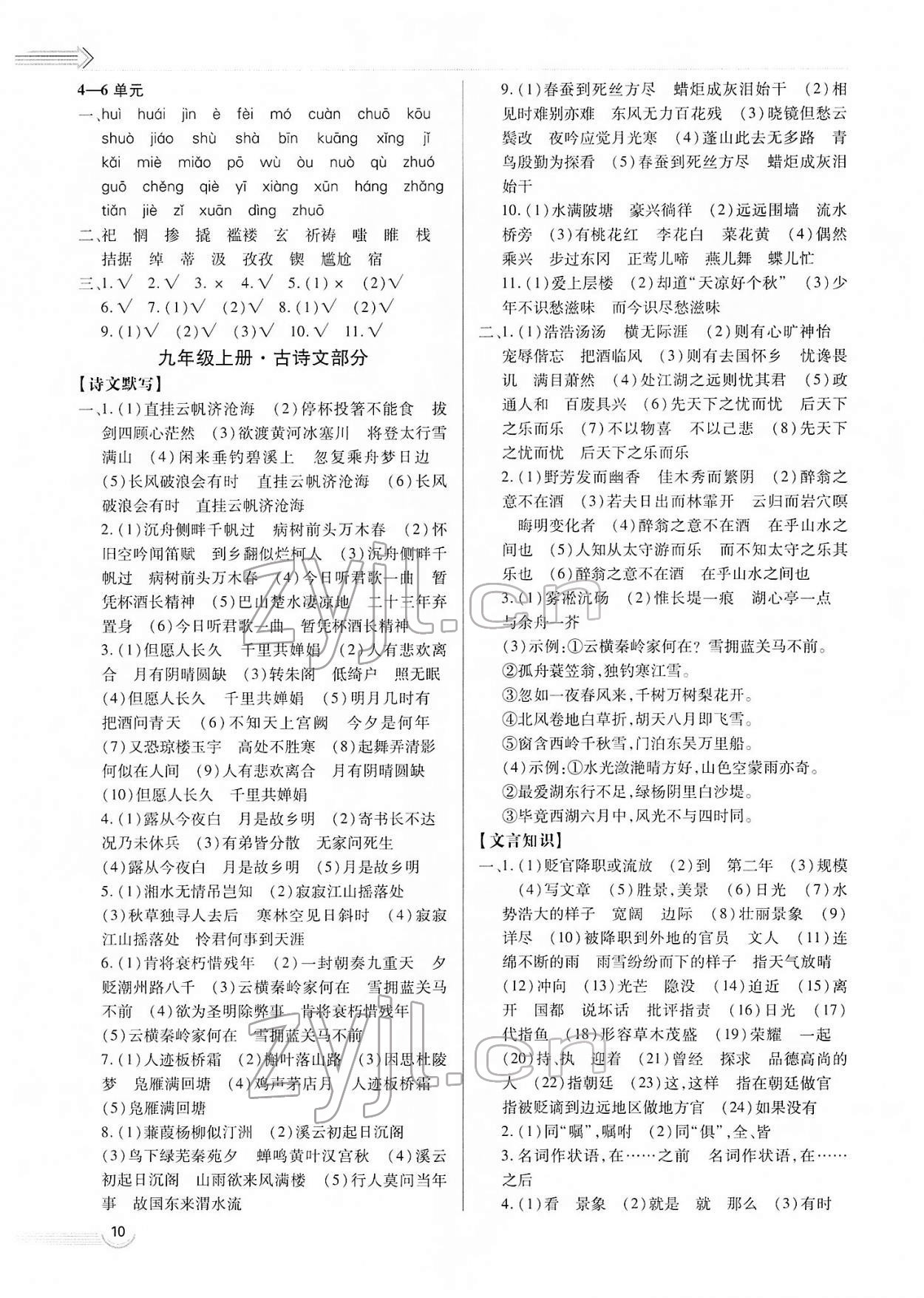 2022年中考档案初中总复习学案导学语文A版青岛中考 第10页