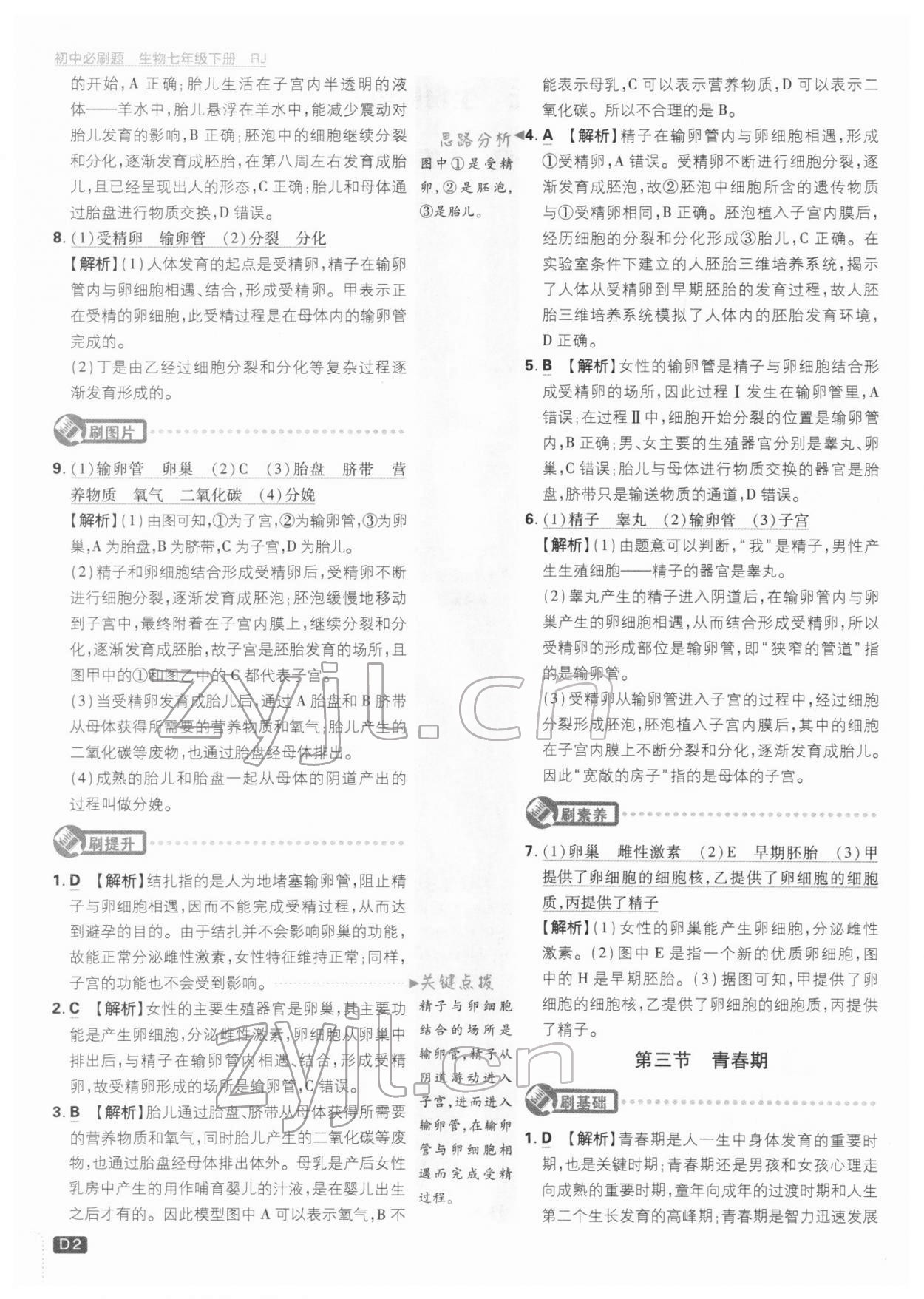 2022年初中必刷題七年級(jí)生物下冊人教版 參考答案第2頁